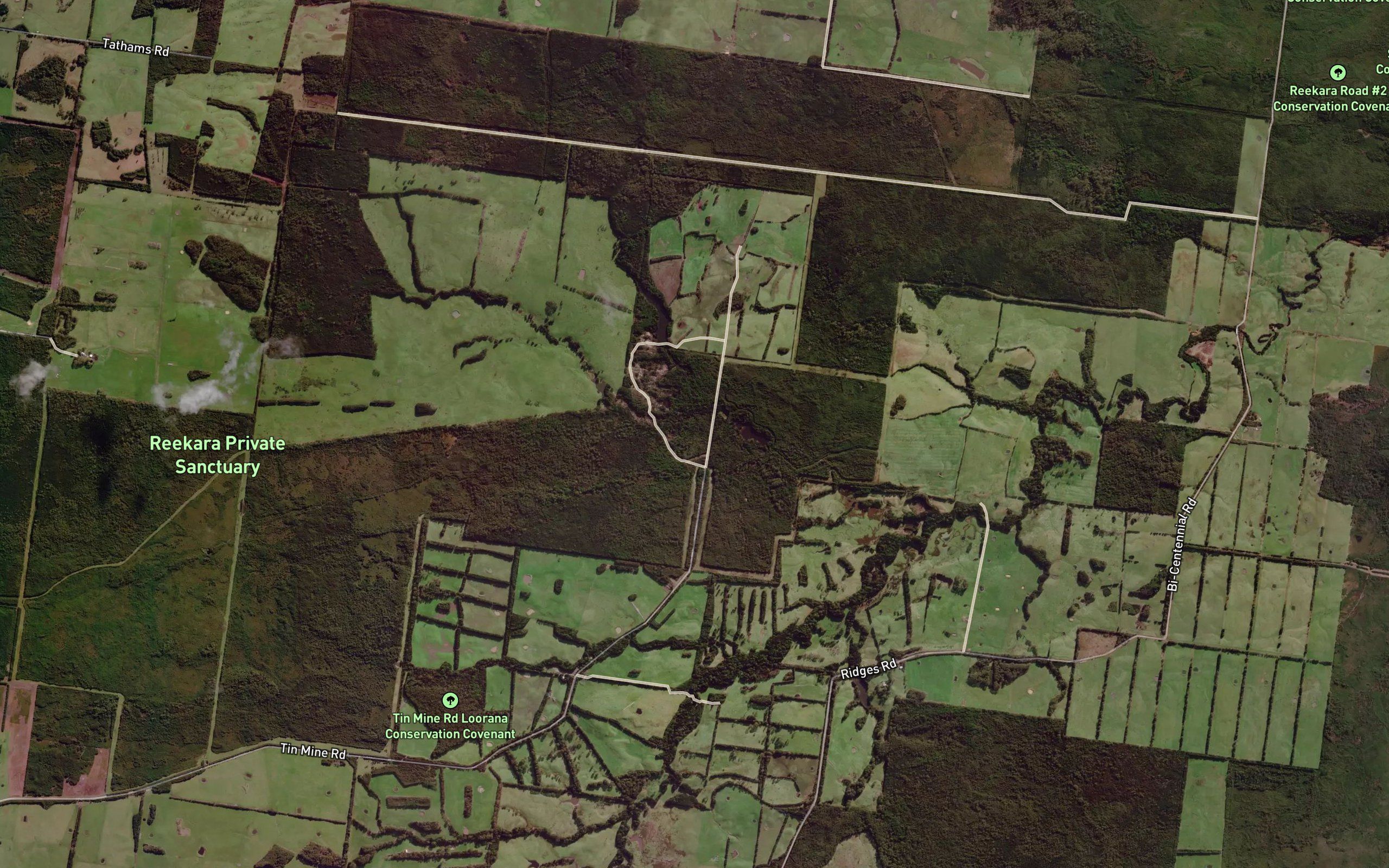Plant Creek