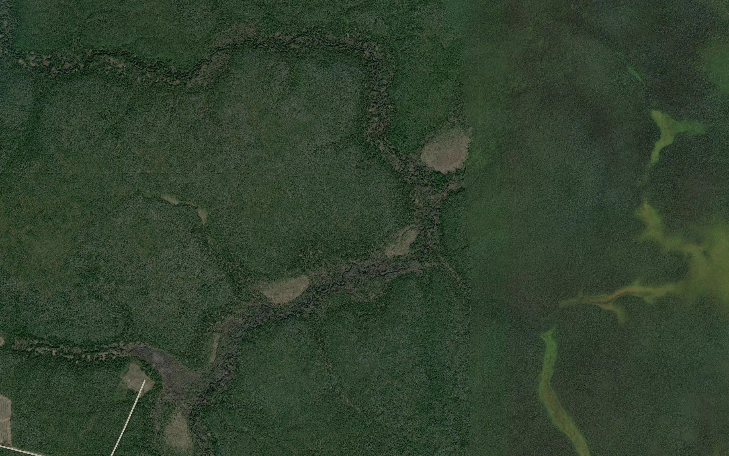 Lanknigl'