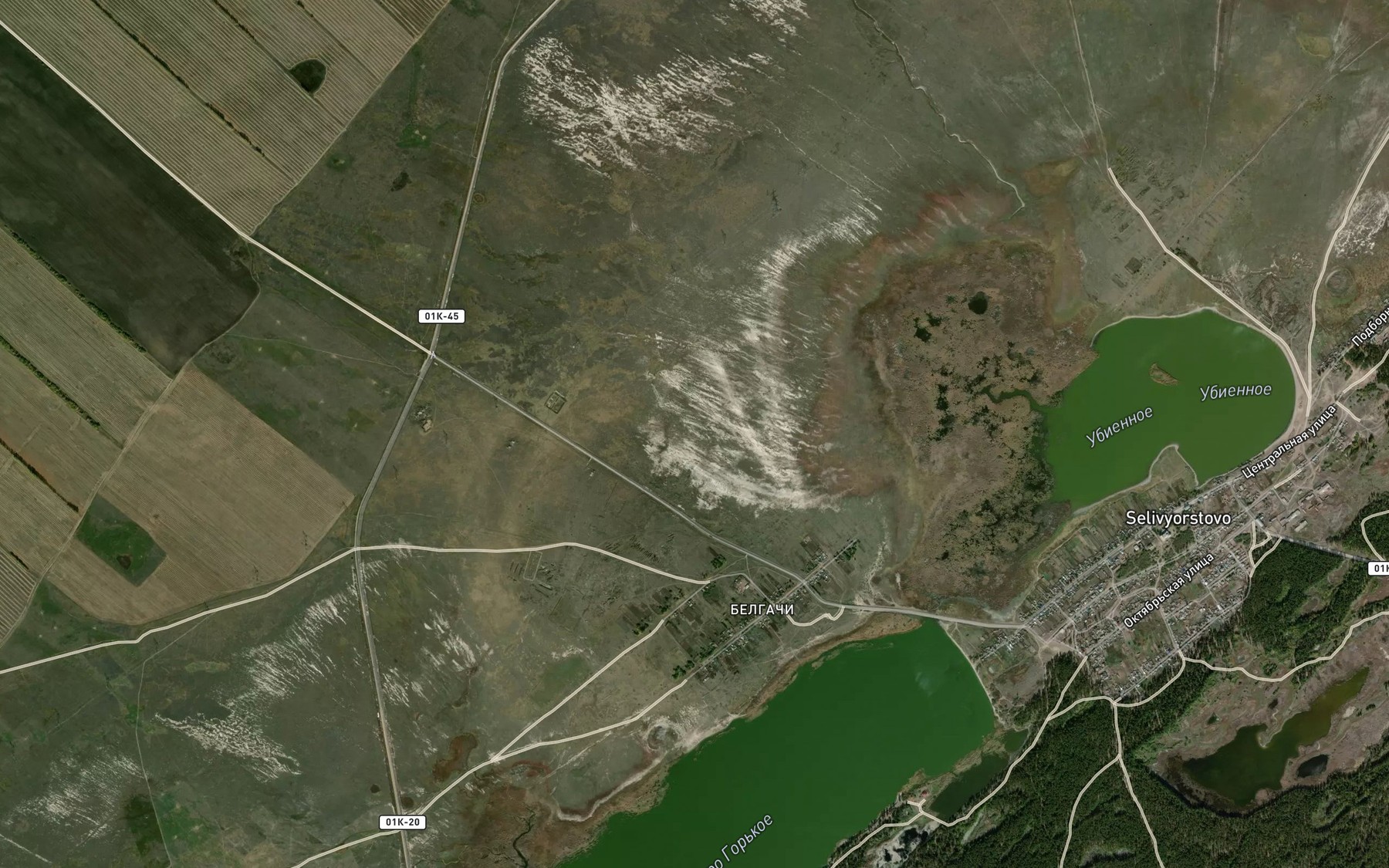 Satellite map of the Ozero Gor'koye
