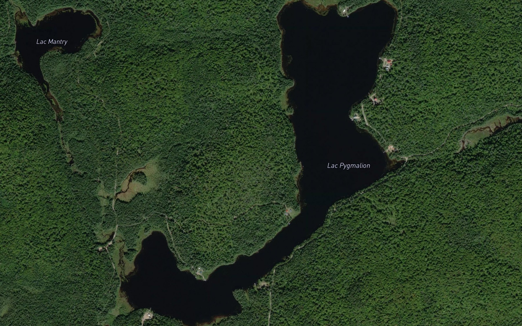 Satellite map of the Lac Pygmalion
