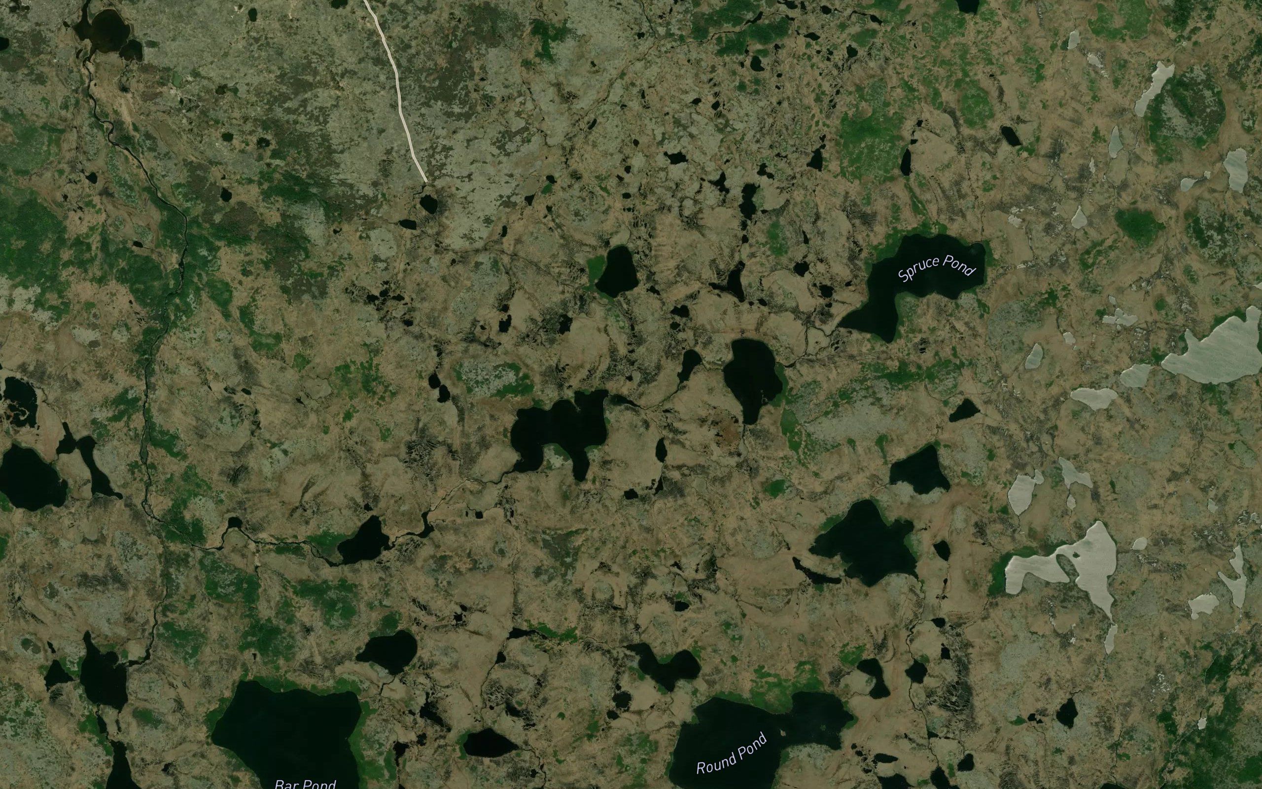 Woody Island Ponds