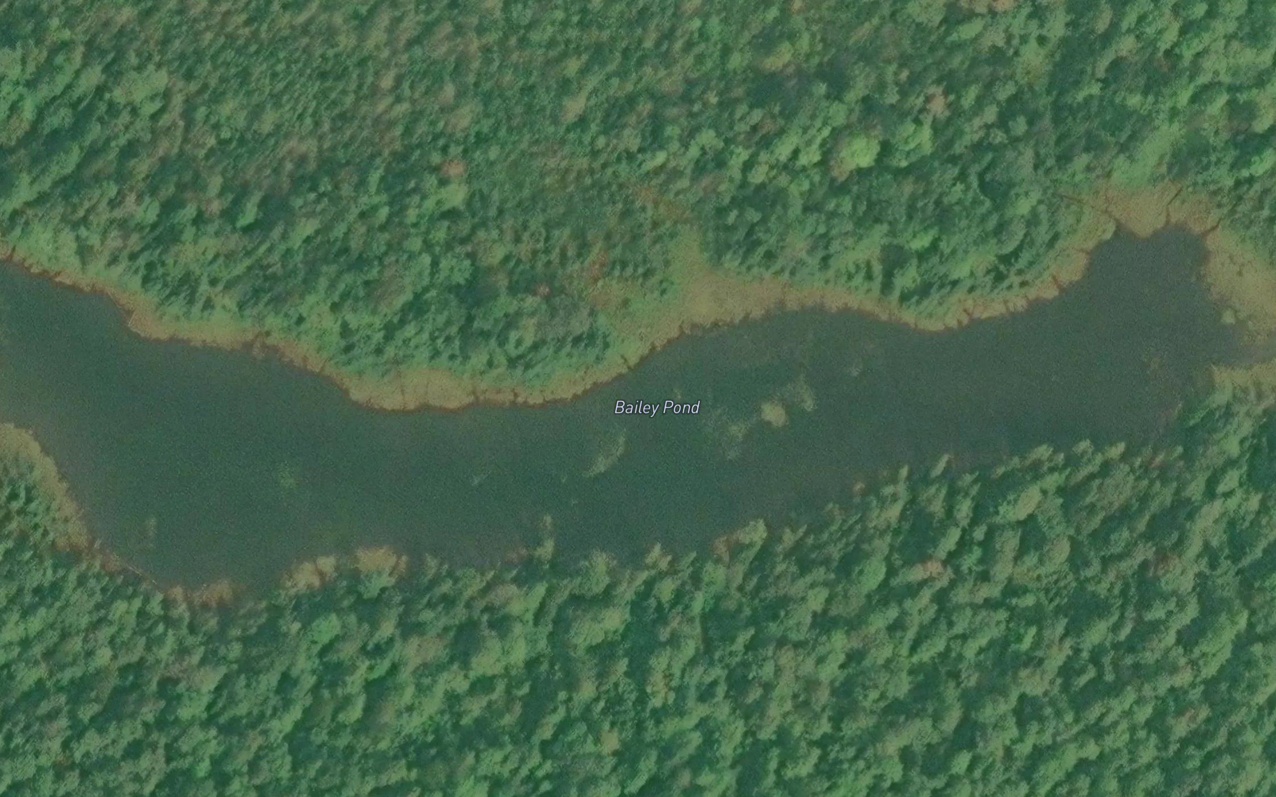 Bailey Pond