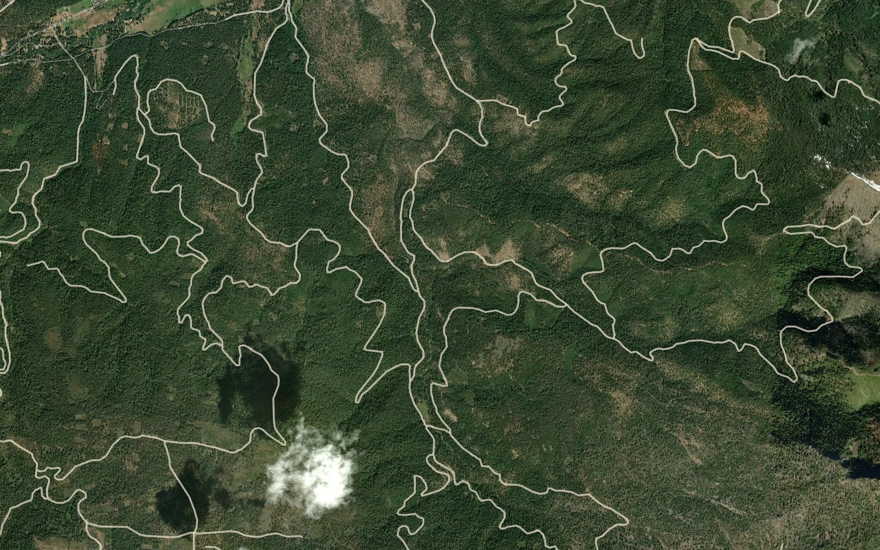 Satellite map of the East Branch Rock Creek