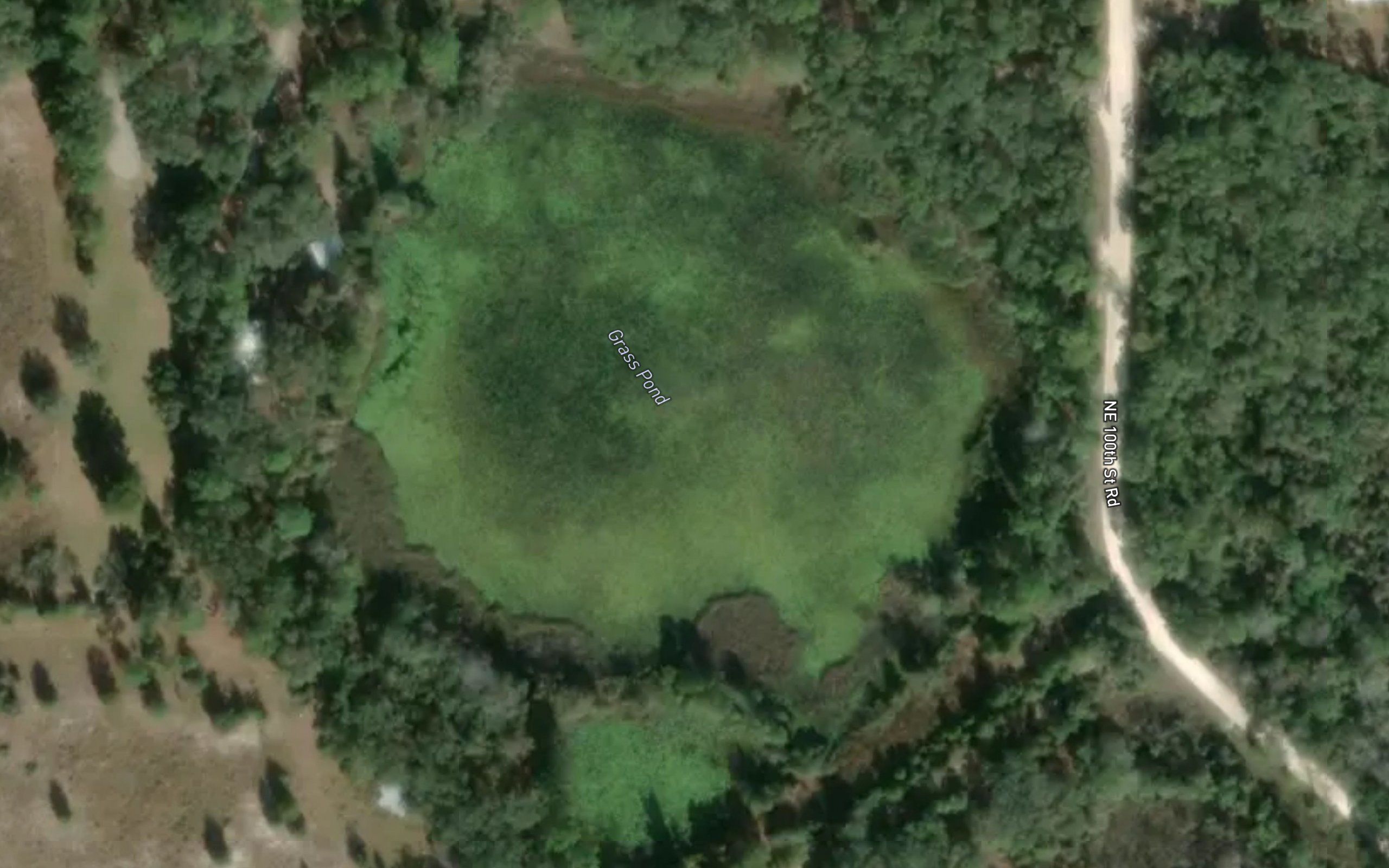 Grass Pond