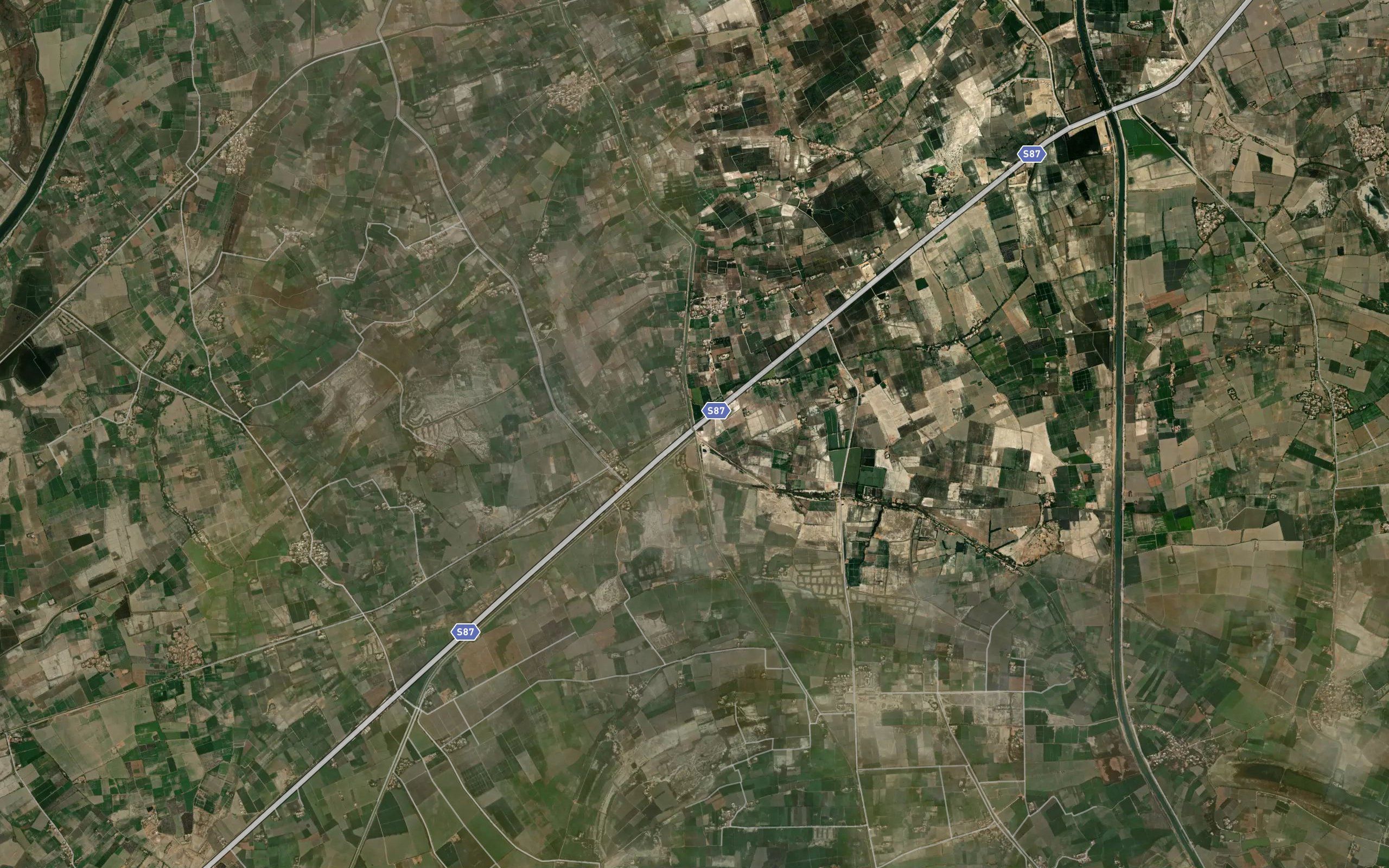 Gaja Branch