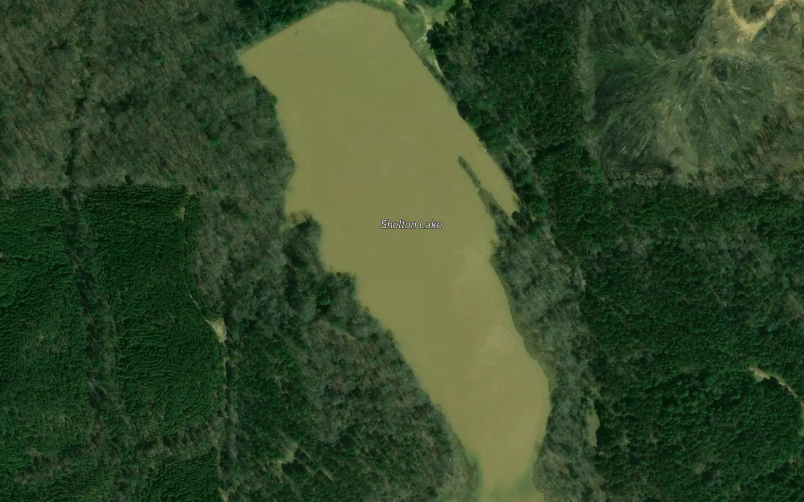 Shelton Lake