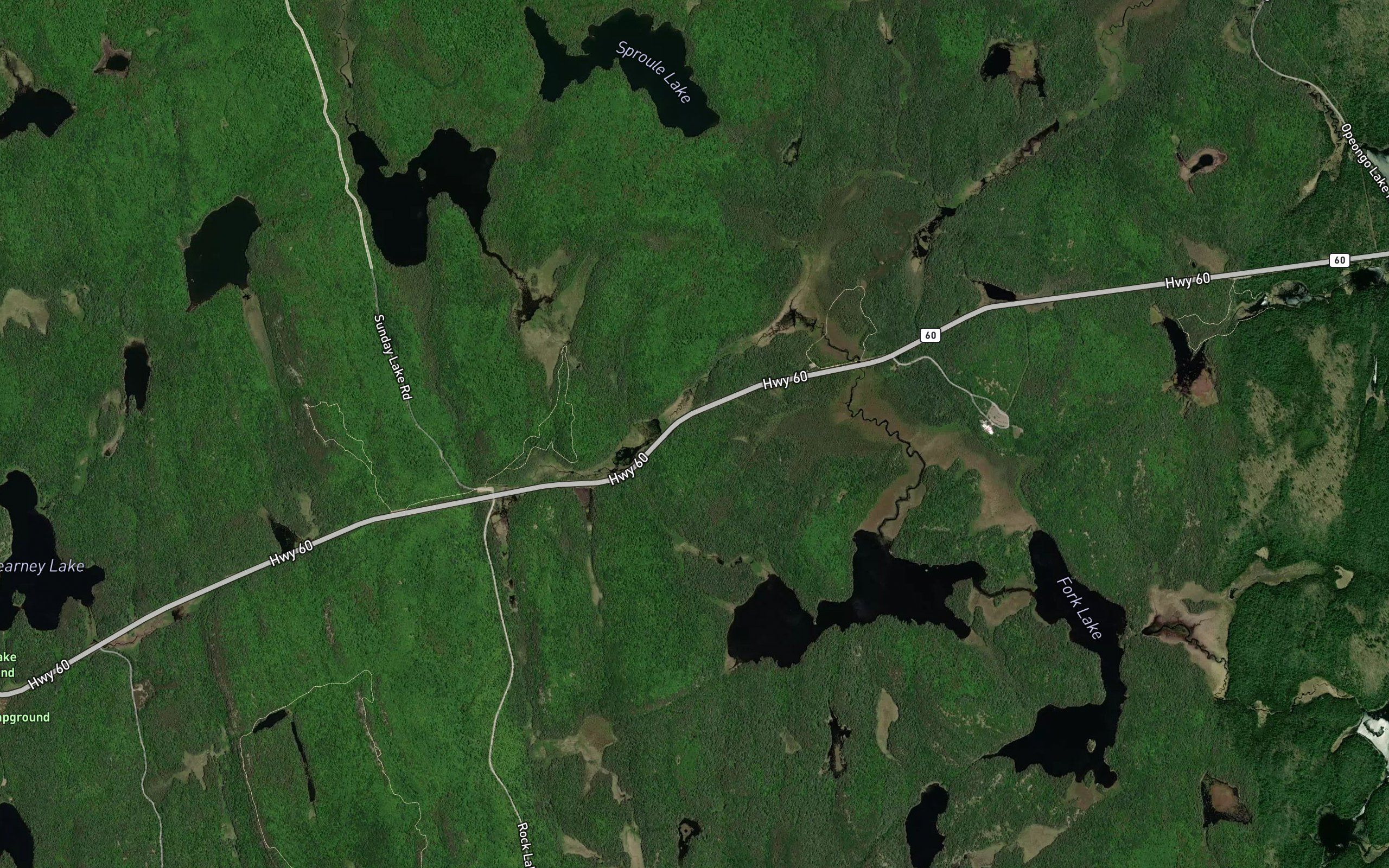 Ring-neck Pond