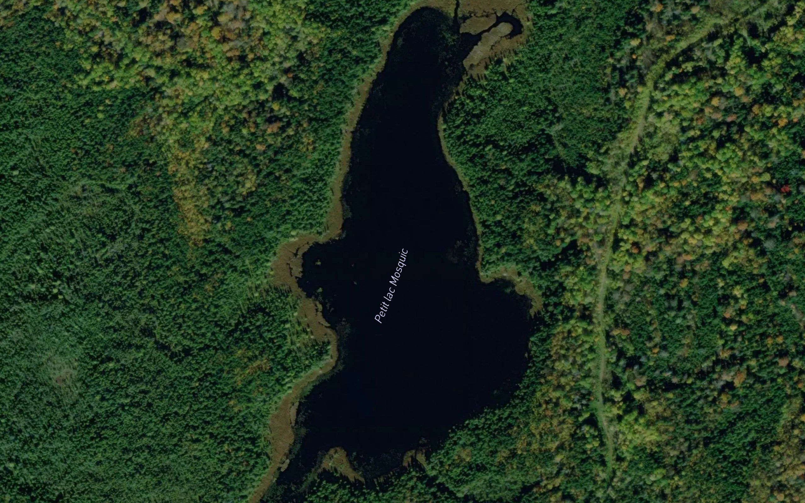 Petit lac Mosquic