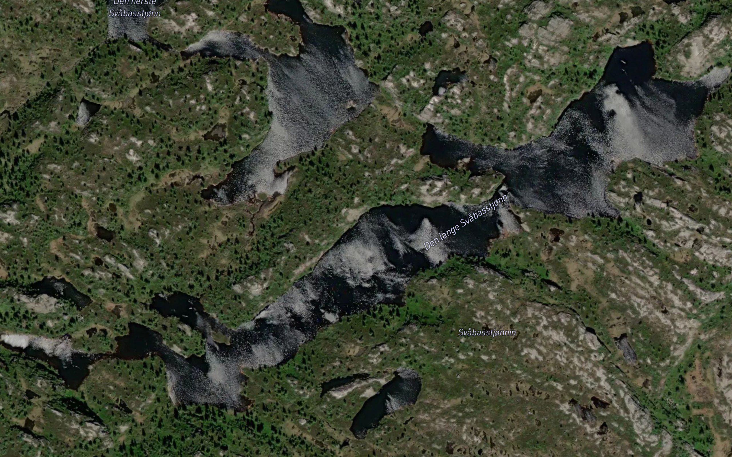 Svabasstjornin