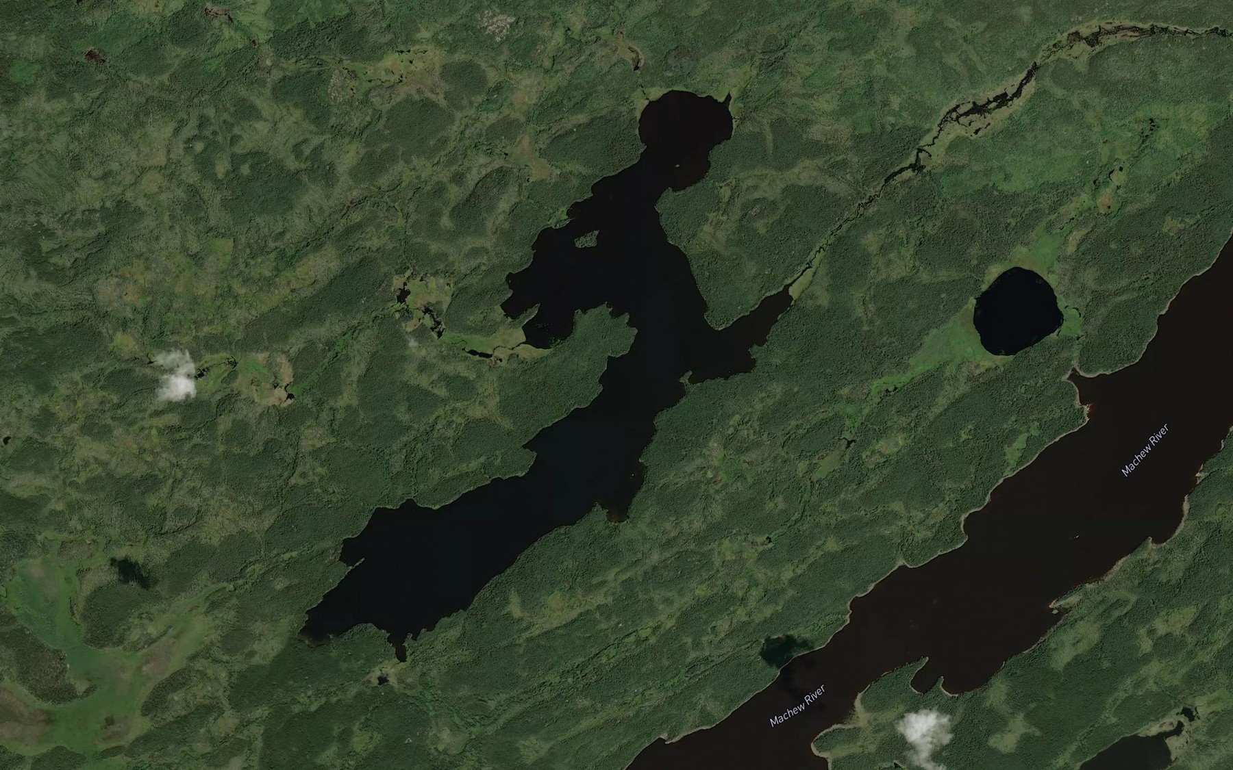 Satellite map of the Coppins Lake