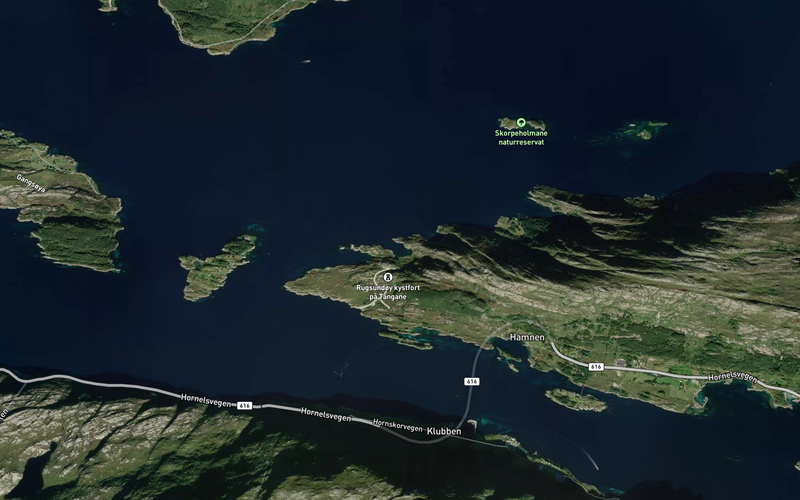 Ornavika