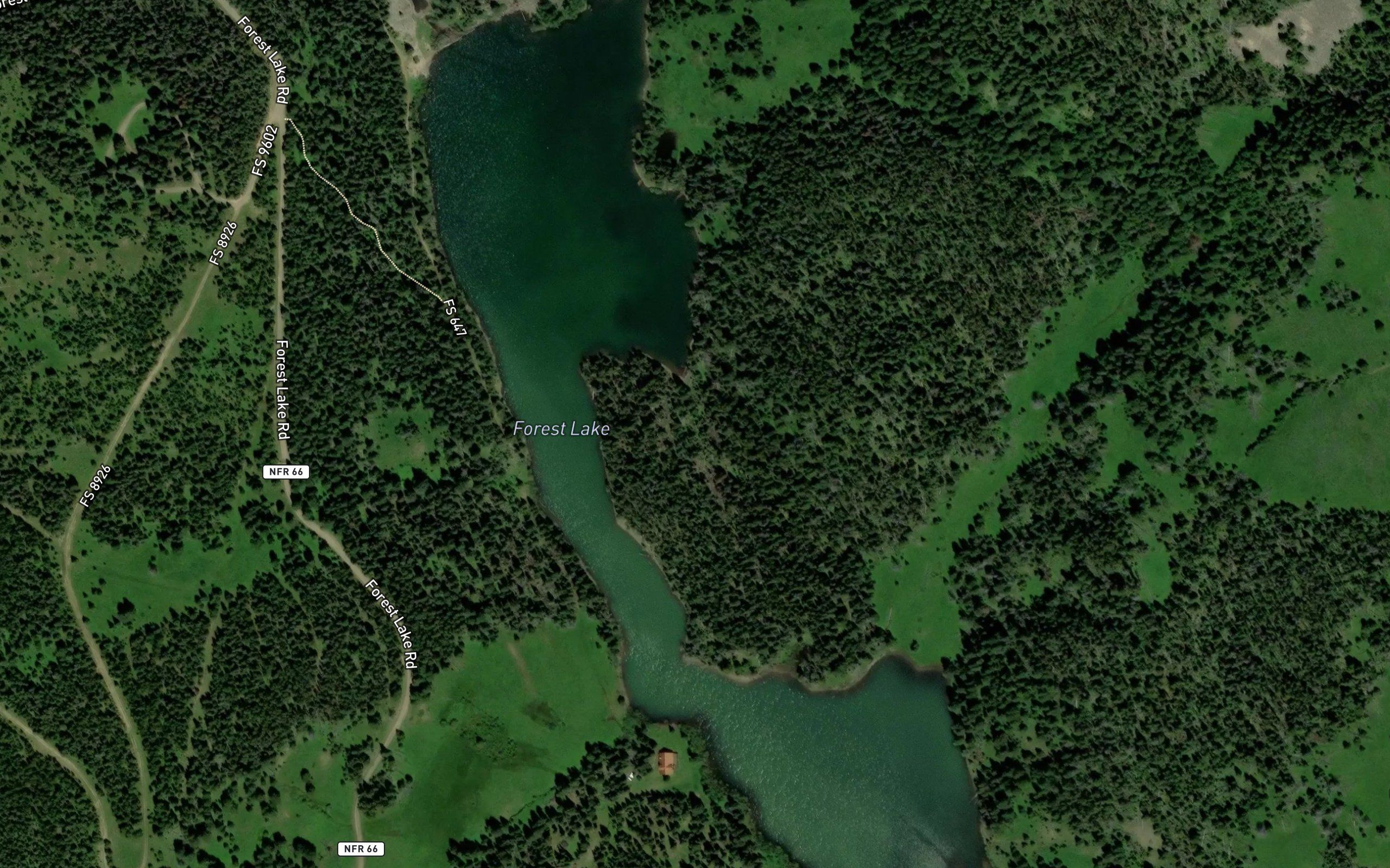 Forest Lake