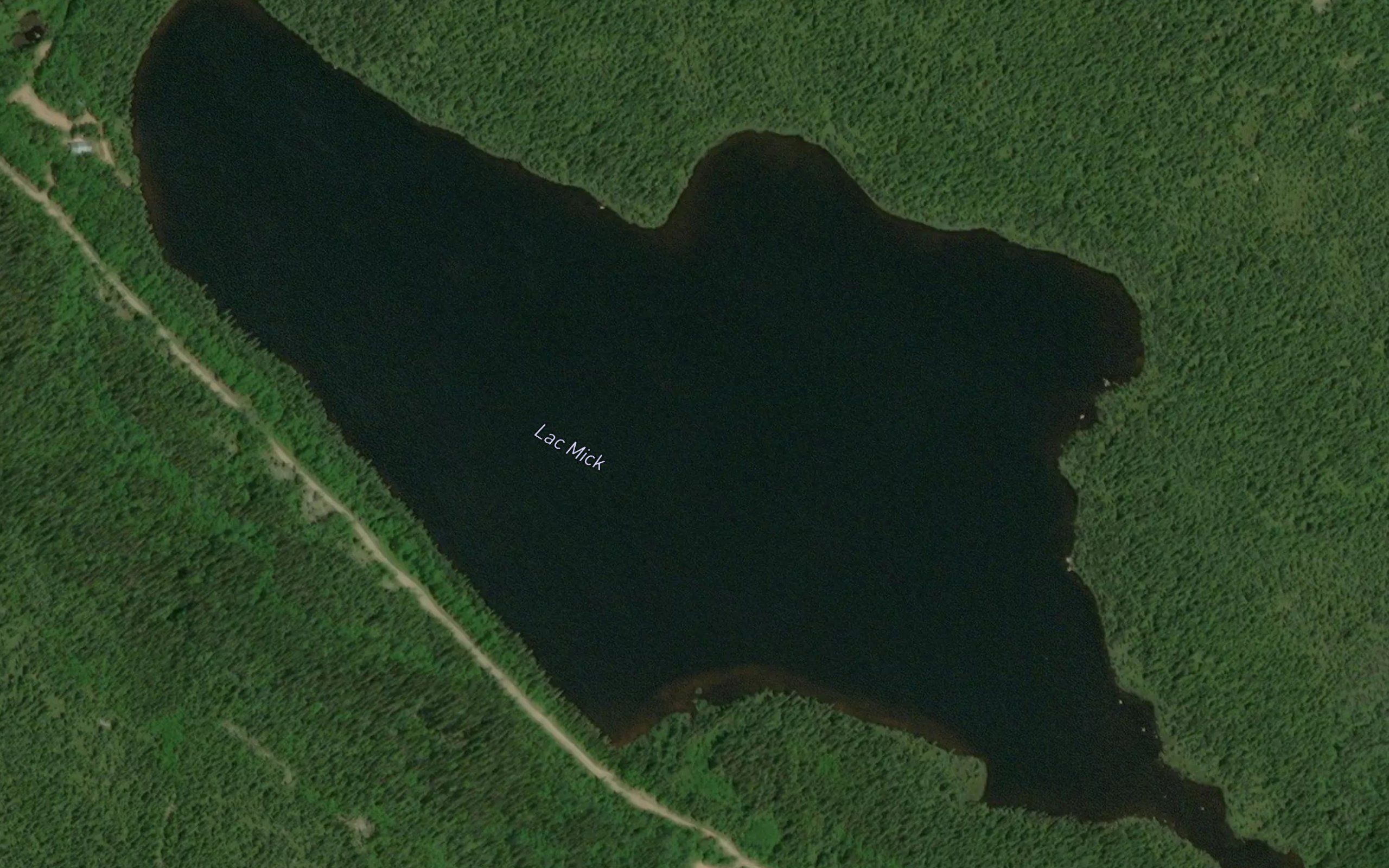 Lac Mick