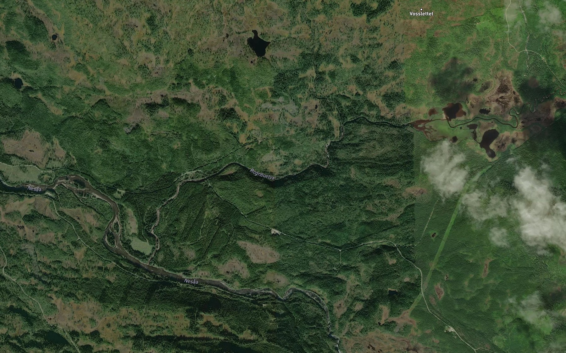 Satellite map of the Rognbuelva