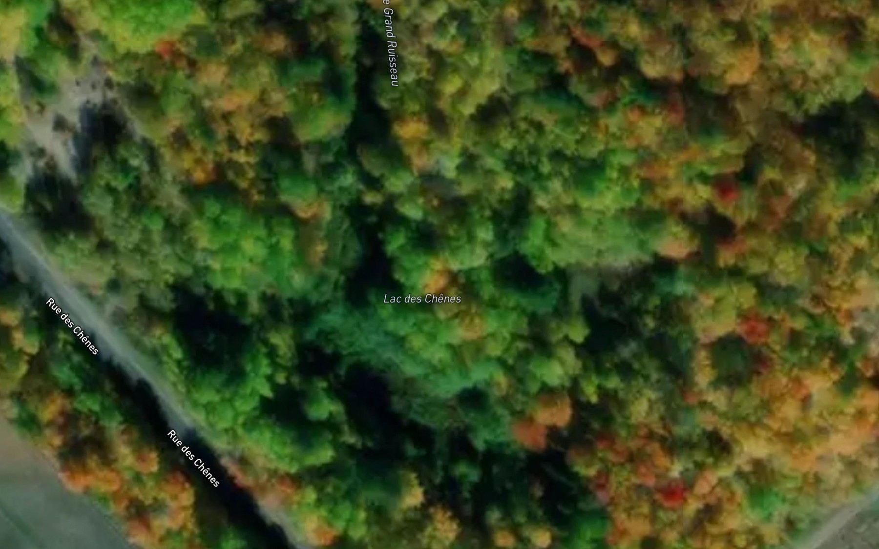 Satellite map of the Lac des Chenes