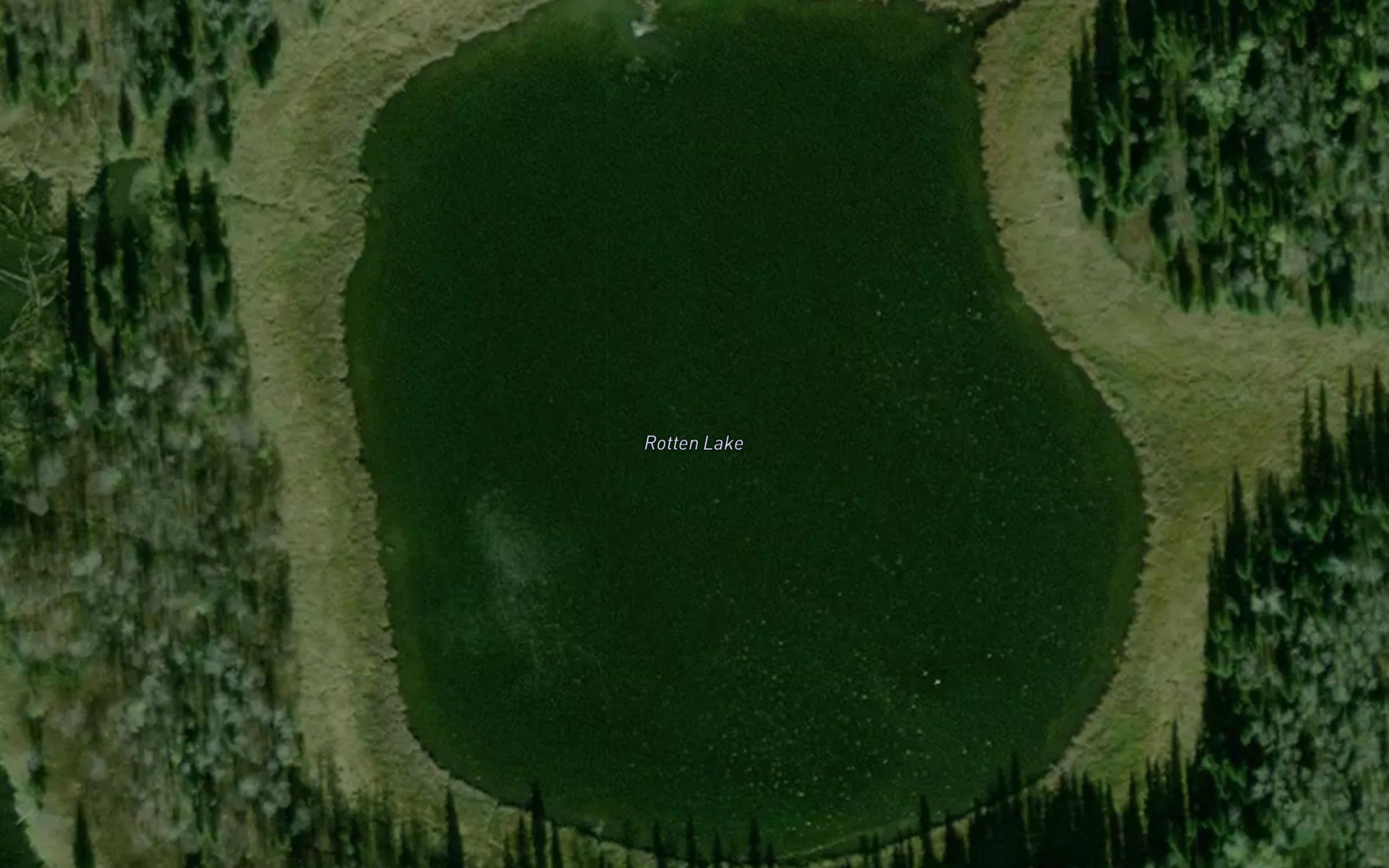 Rotten Lake