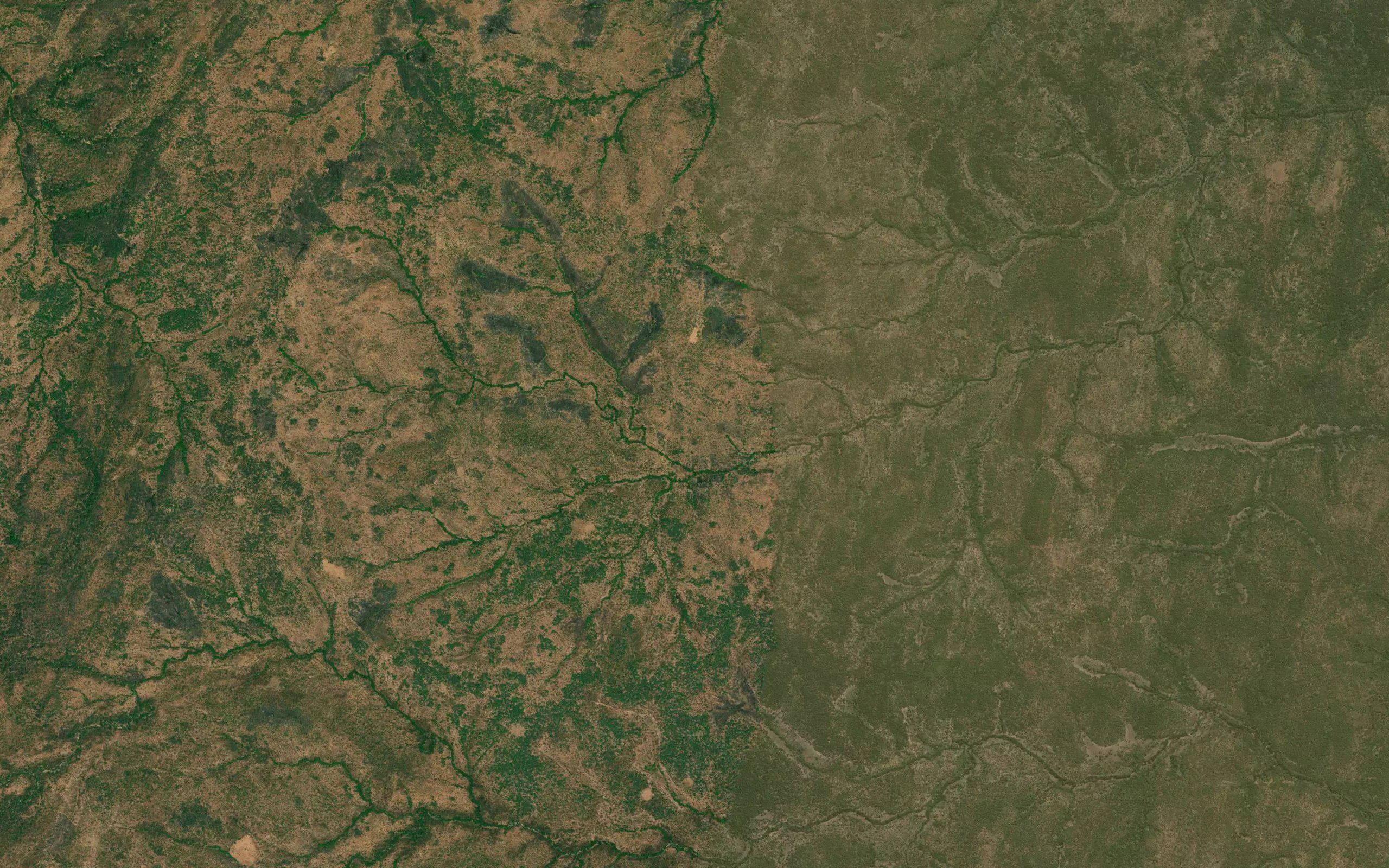 Bafala
