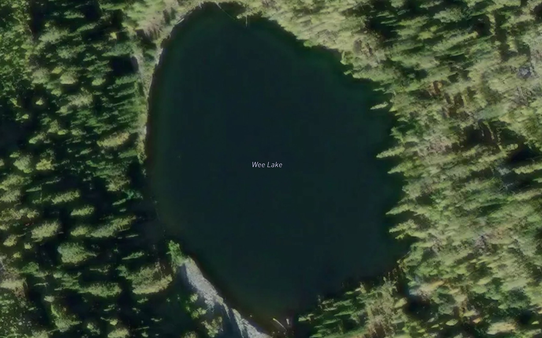 Satellite map of the Wee Lake