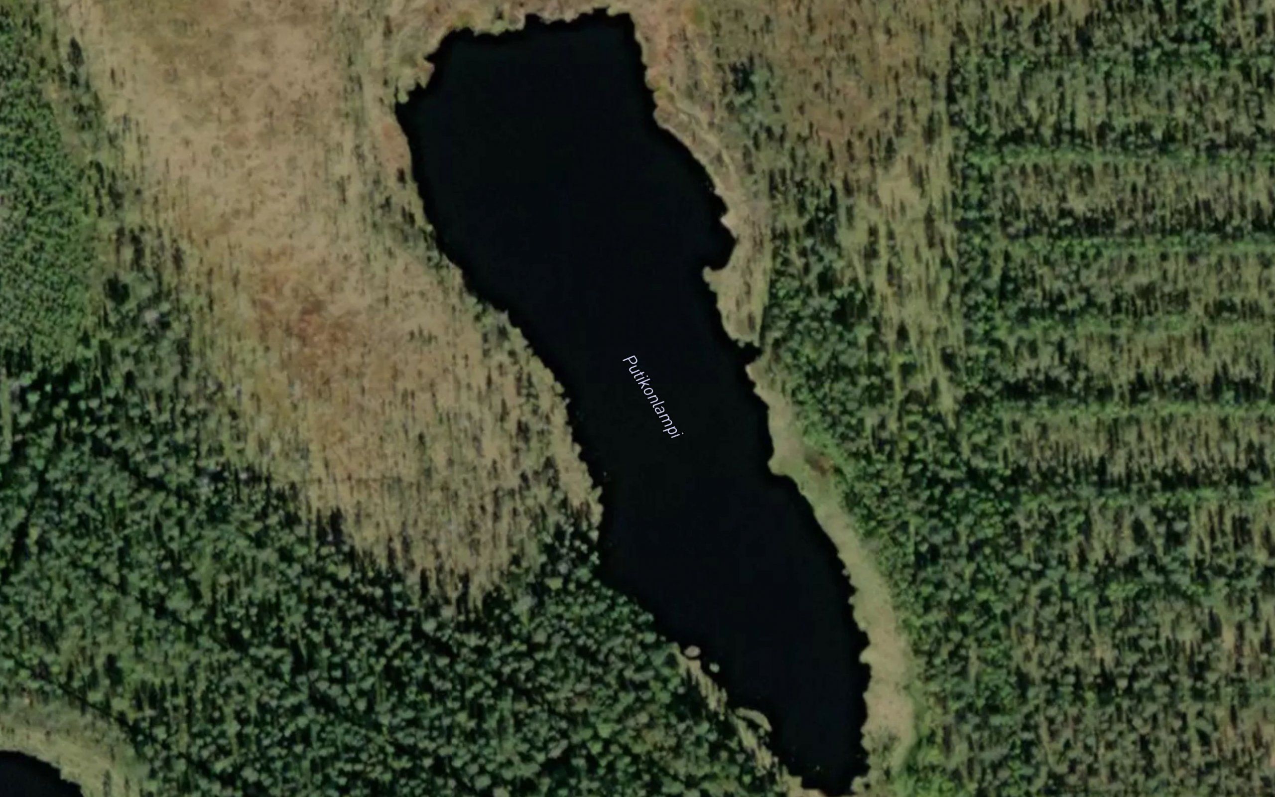 Putikonlampi