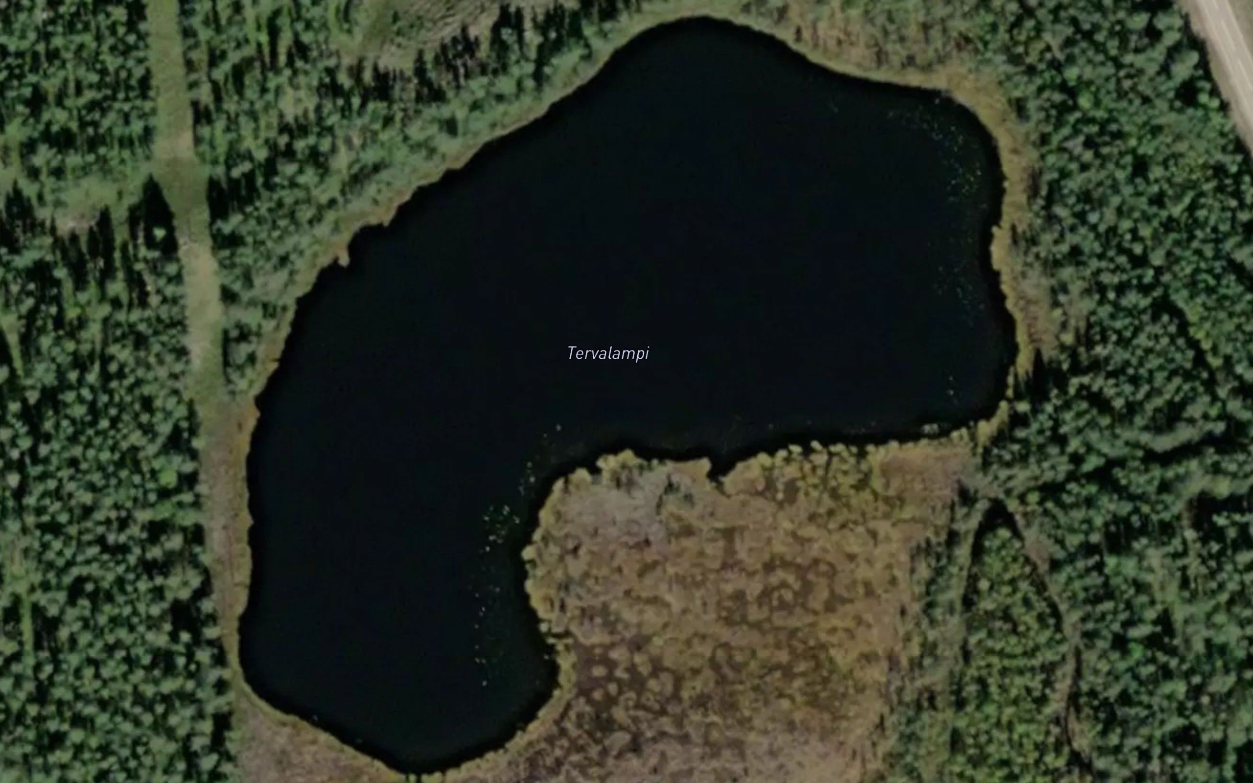 Tervalampi