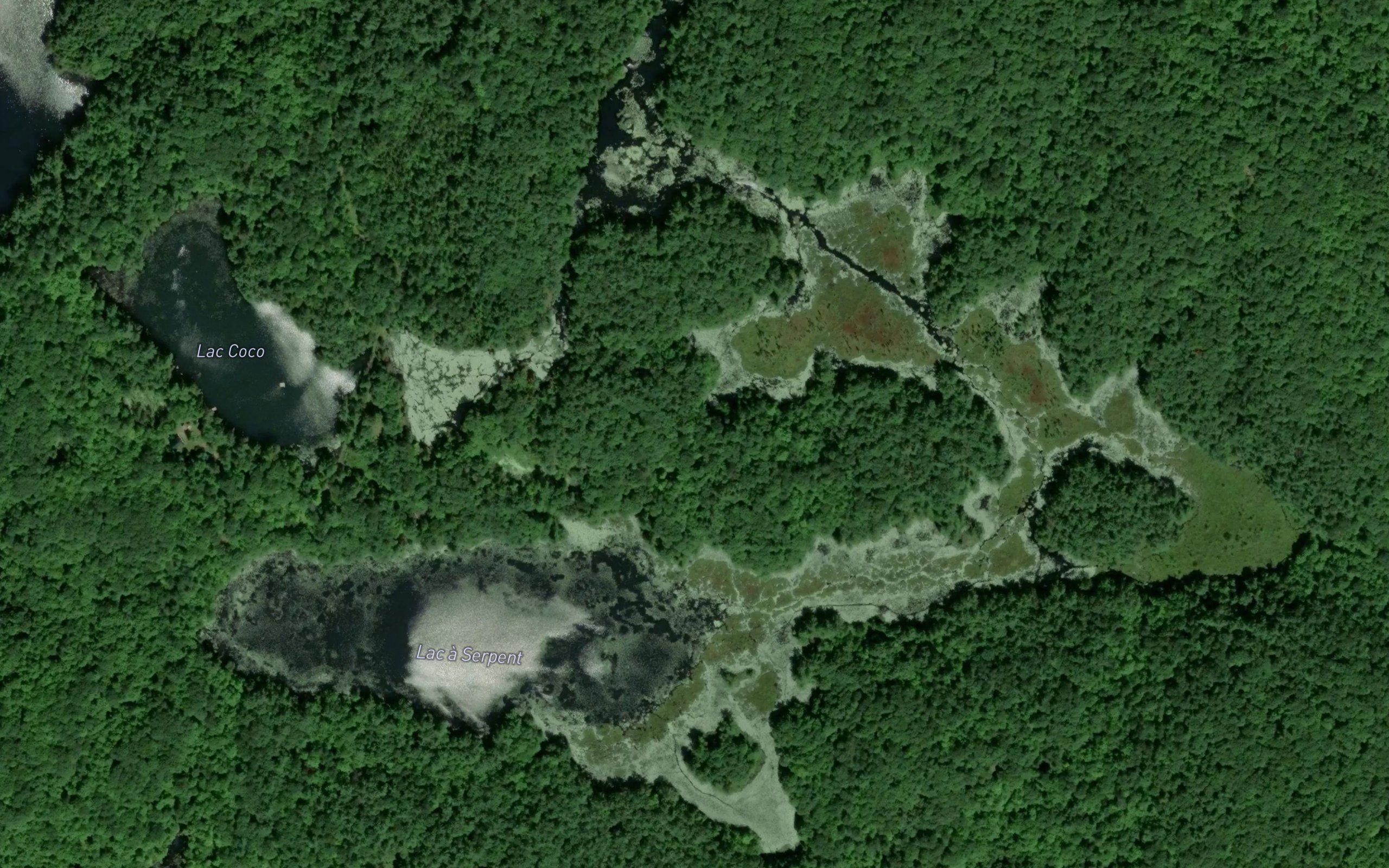 Lac a Serpent