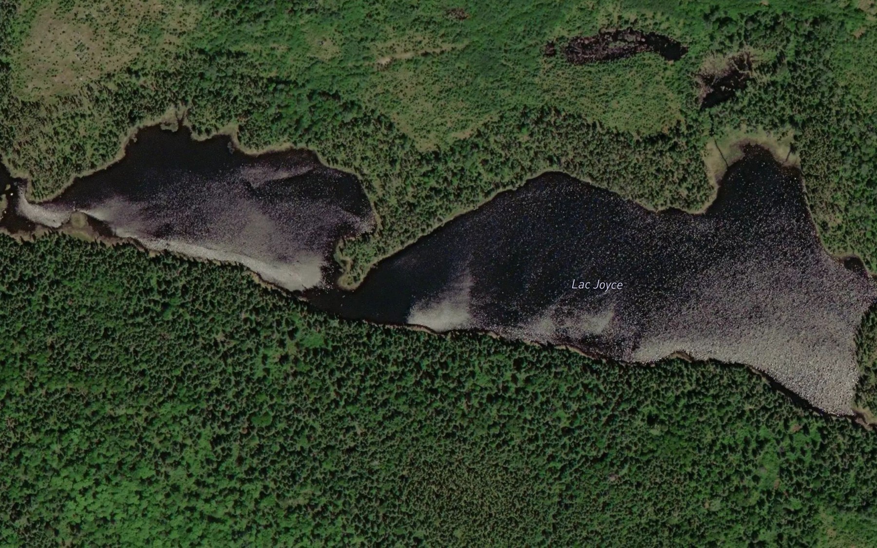 Satellite map of the Lac Joyce