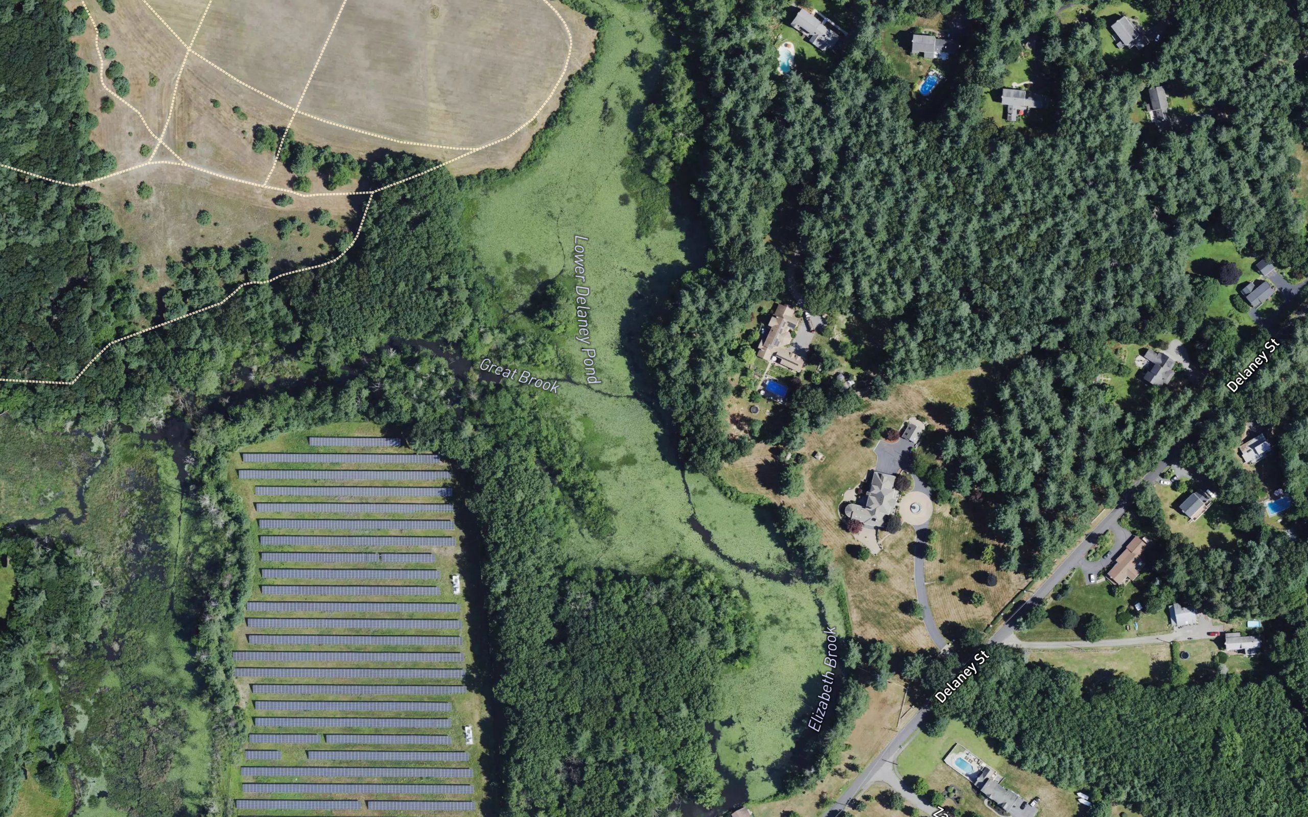 Lower Delaney Pond