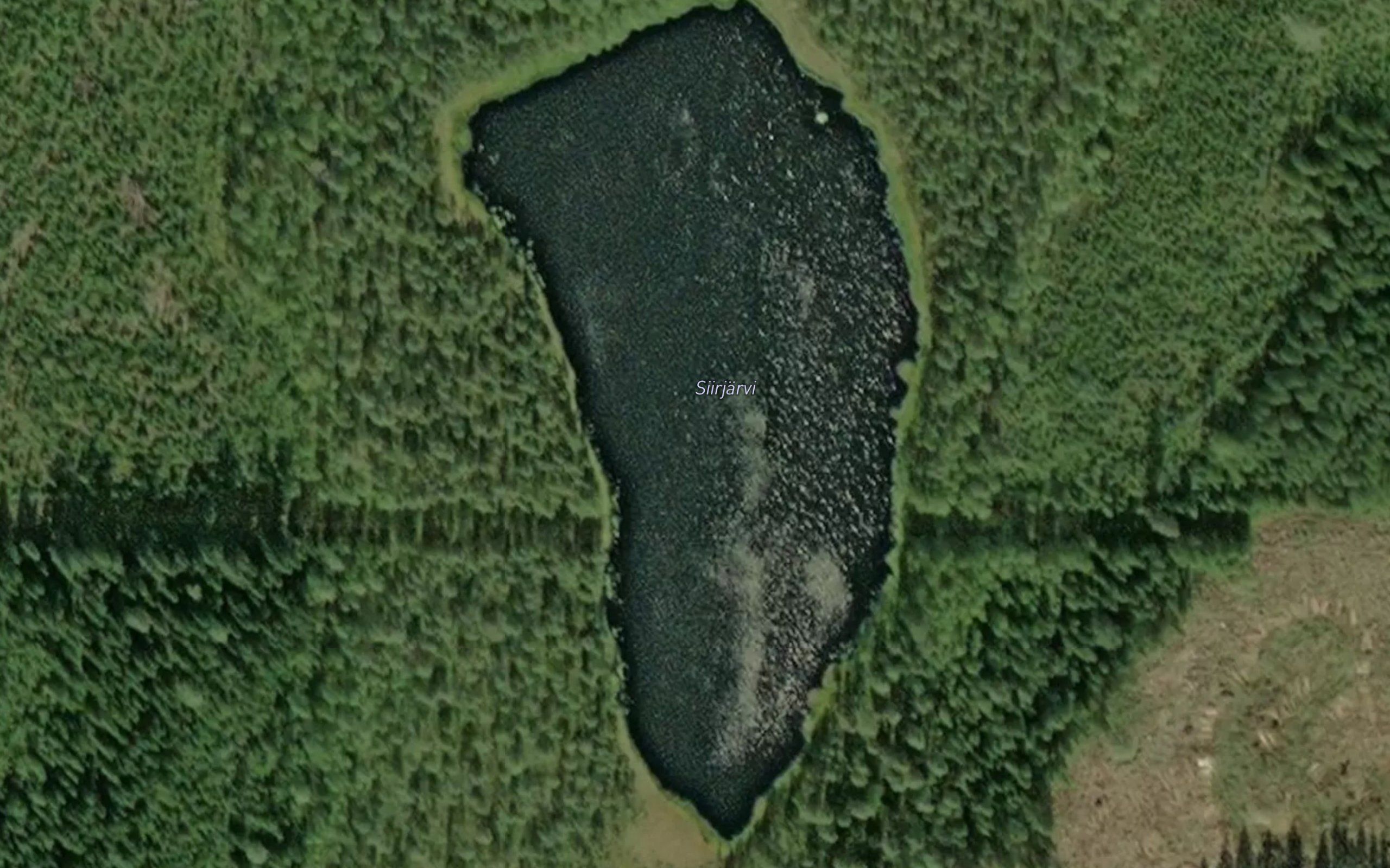 Siirjarvi