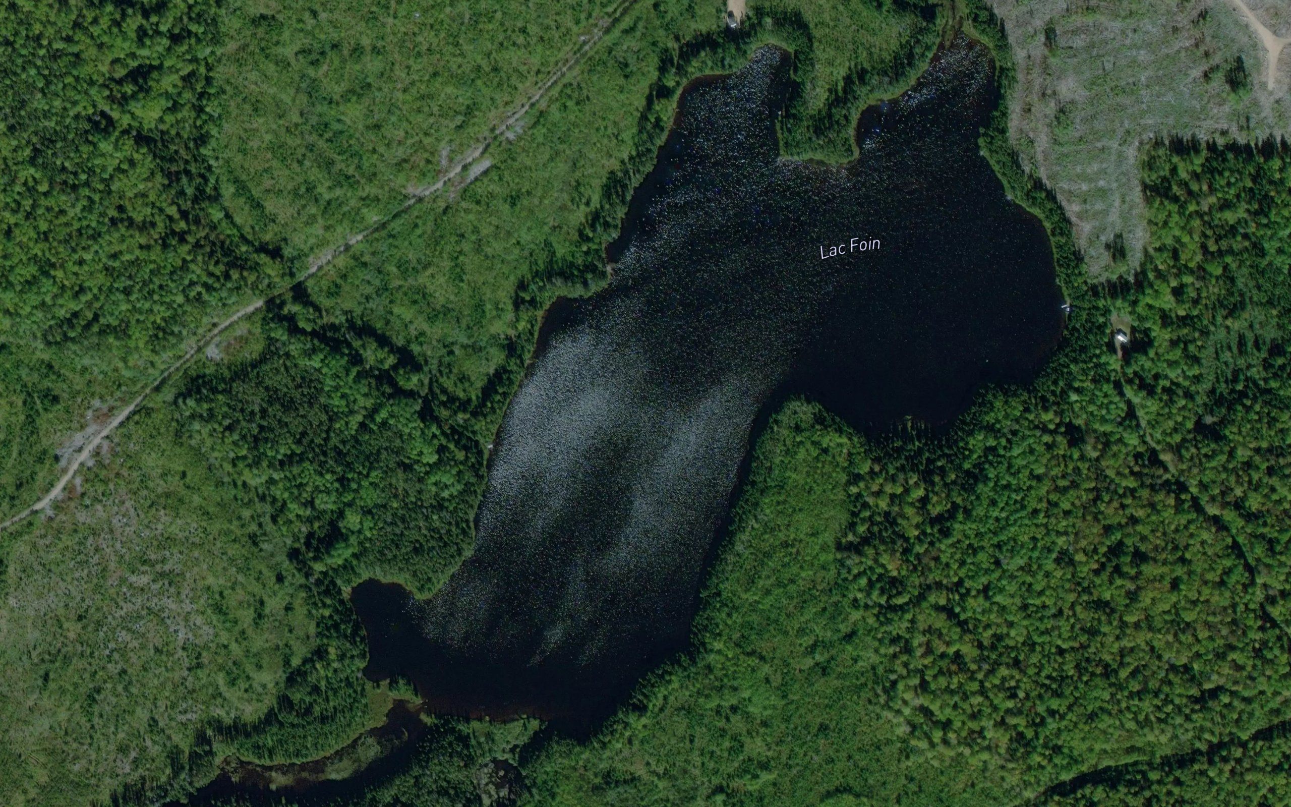 Lac Foin