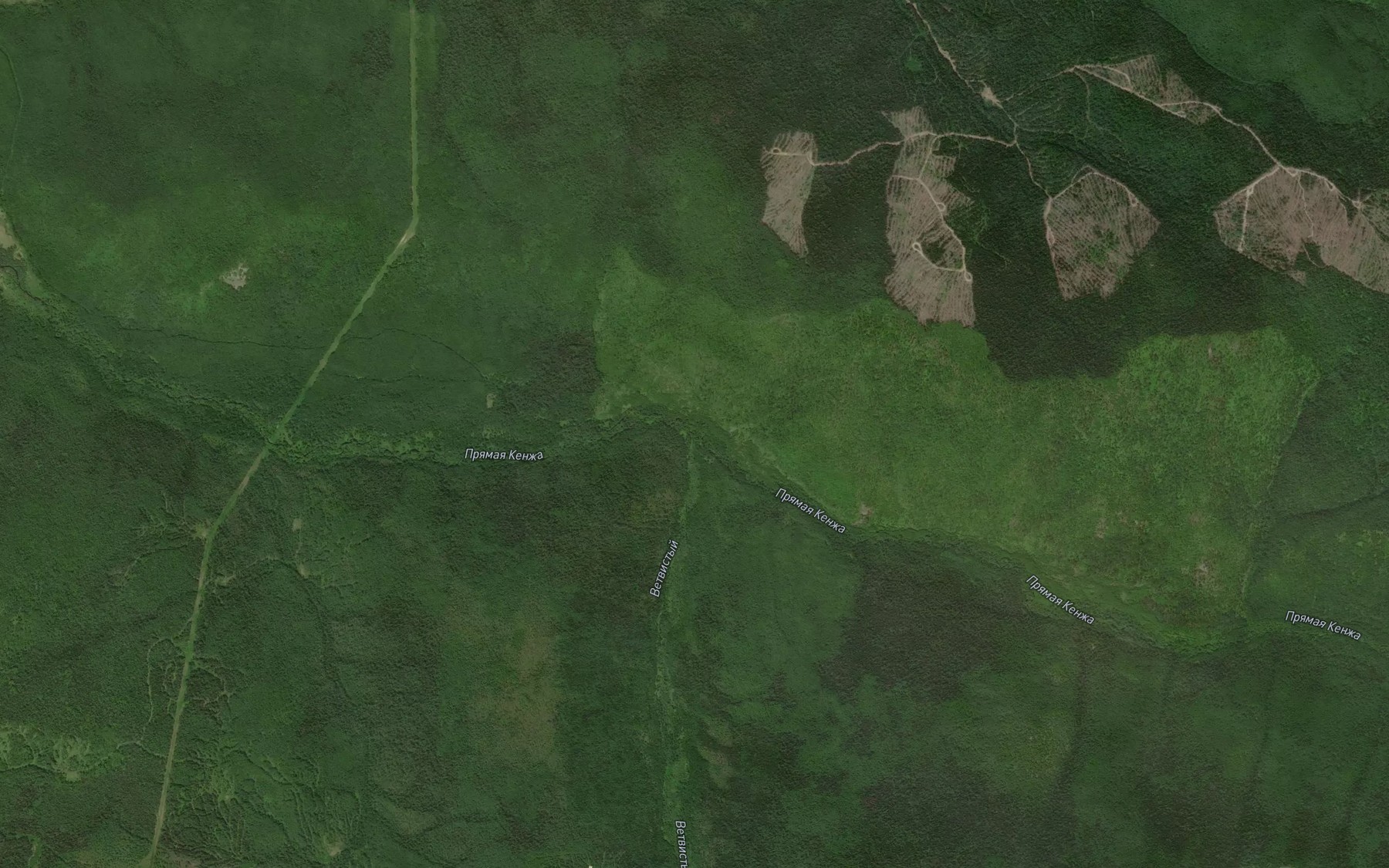 Satellite map of the Vetvistyy