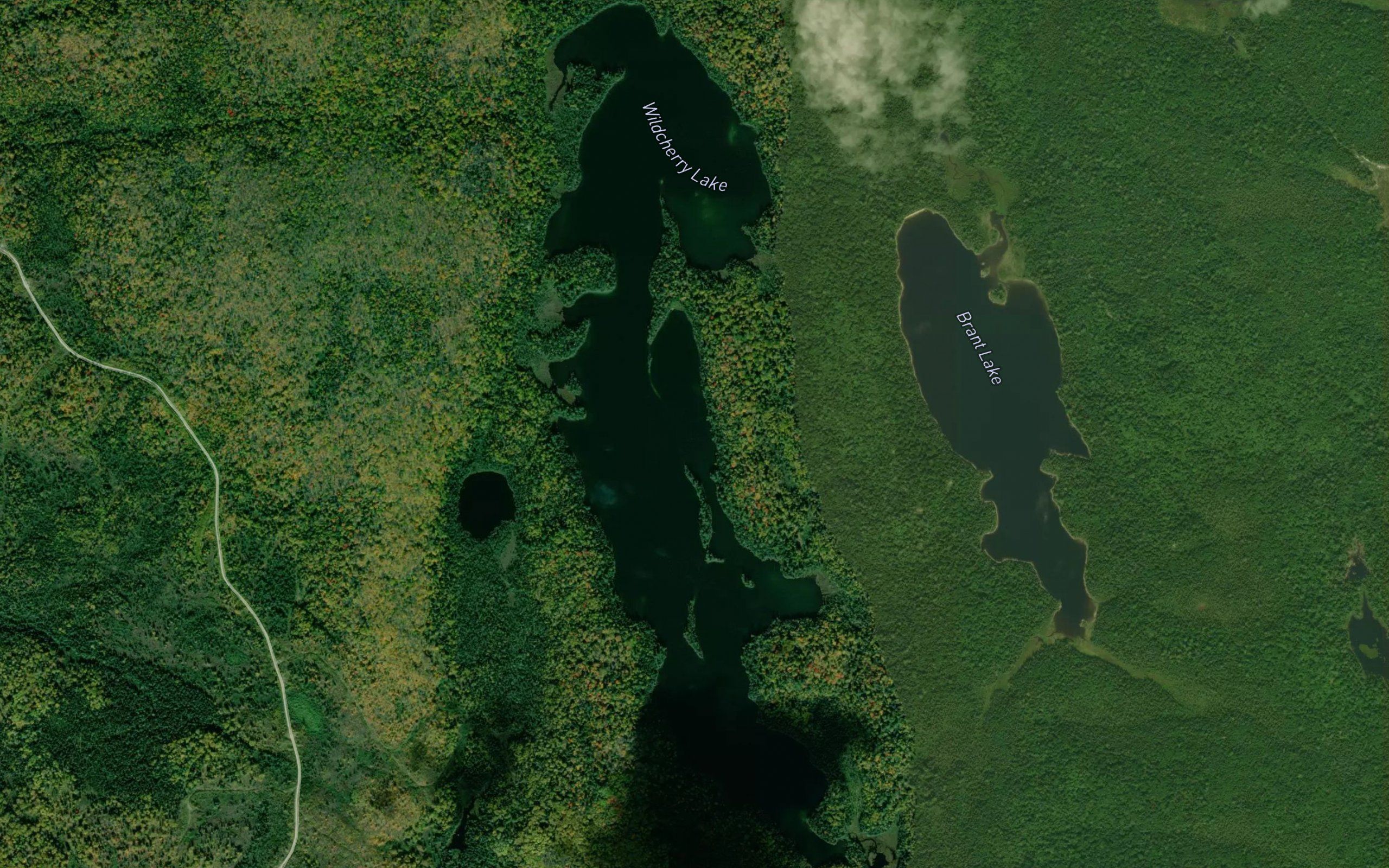 Wildcherry Lake