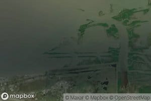 Bayou Cheniere Ronquille