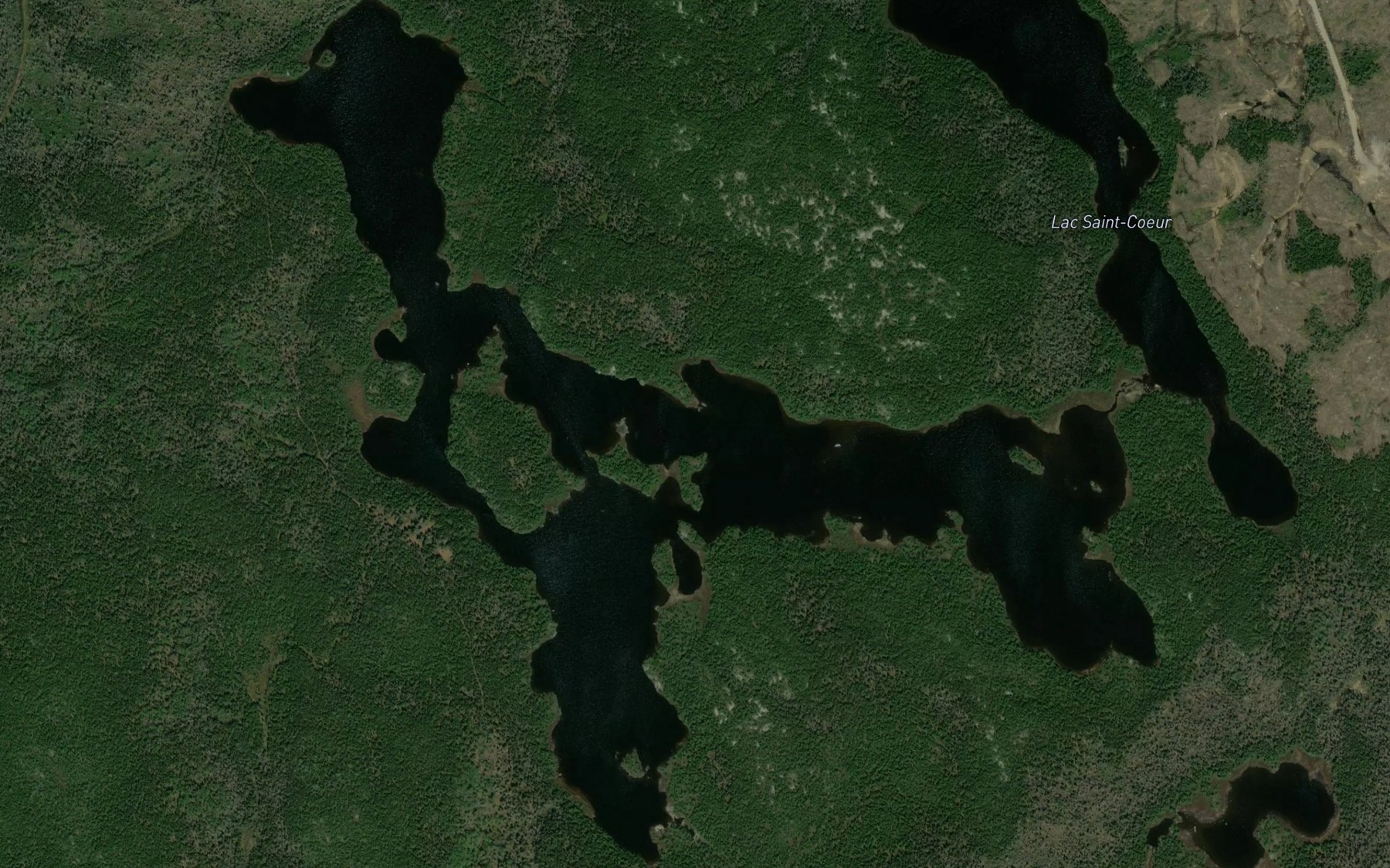 Satellite map of the Lac des Iles