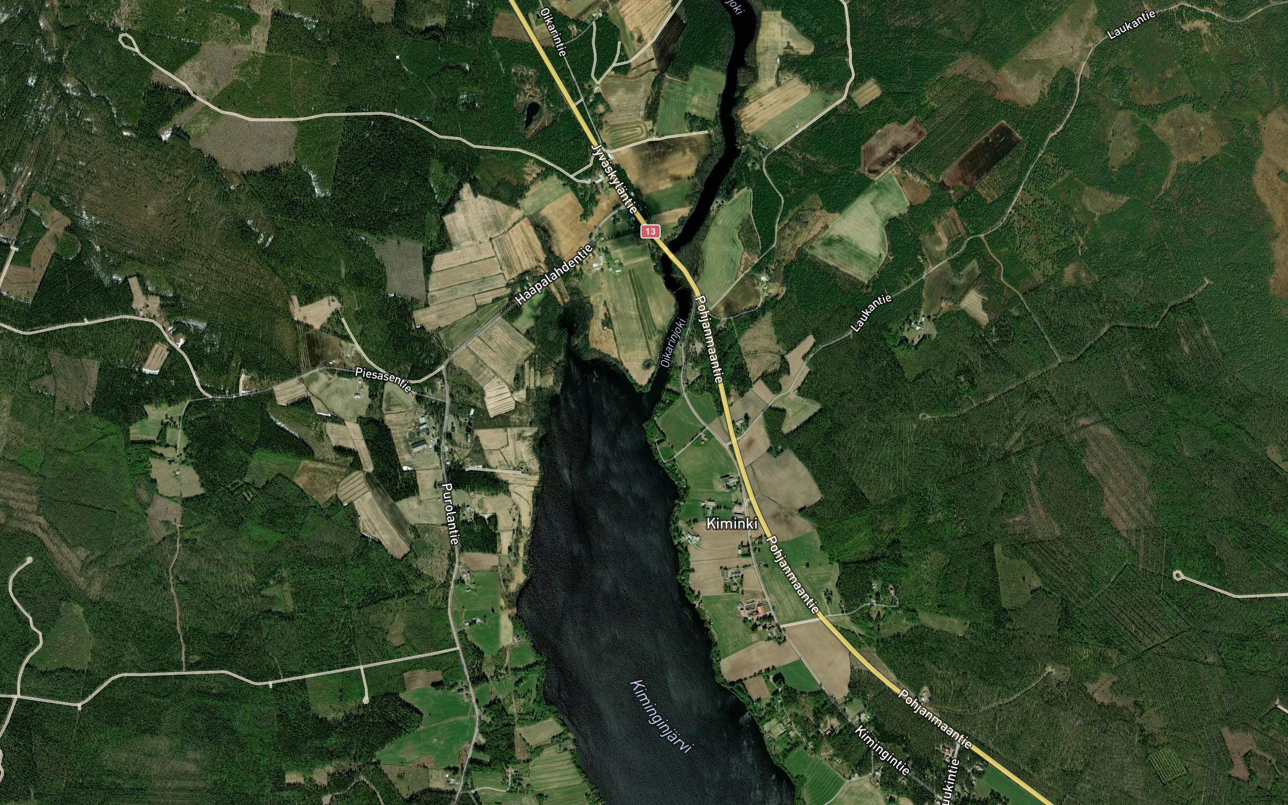 Oikarinjoki
