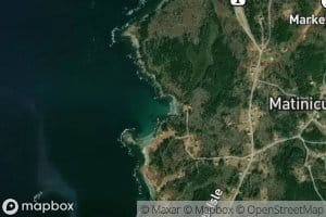 Burgess Cove