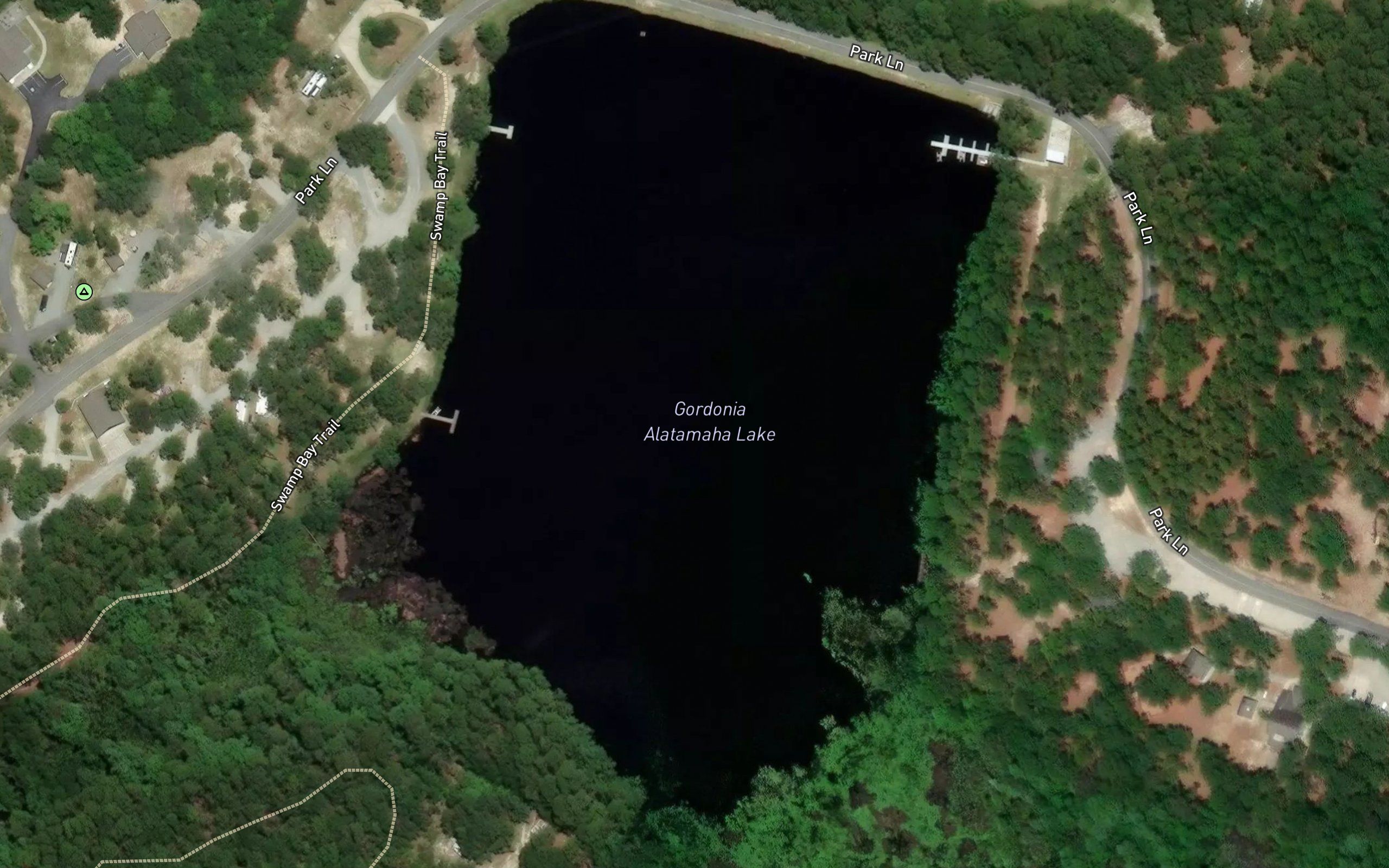 Gordonia Alatamaha Lake