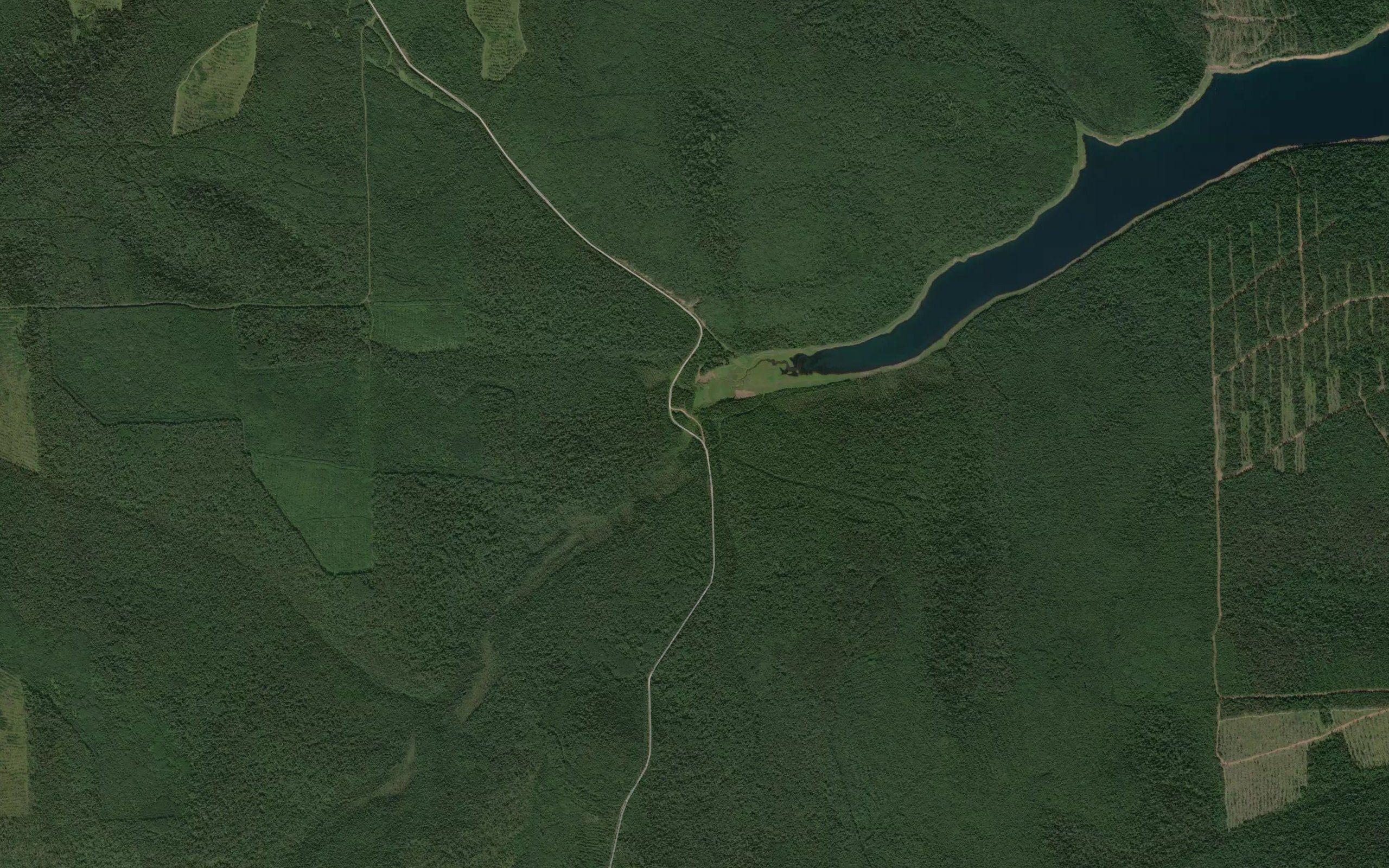 Kochegarikha
