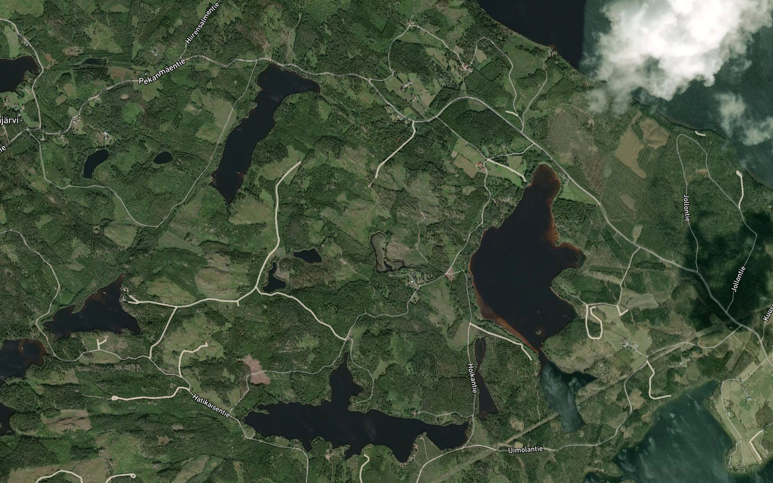 Murronjoki