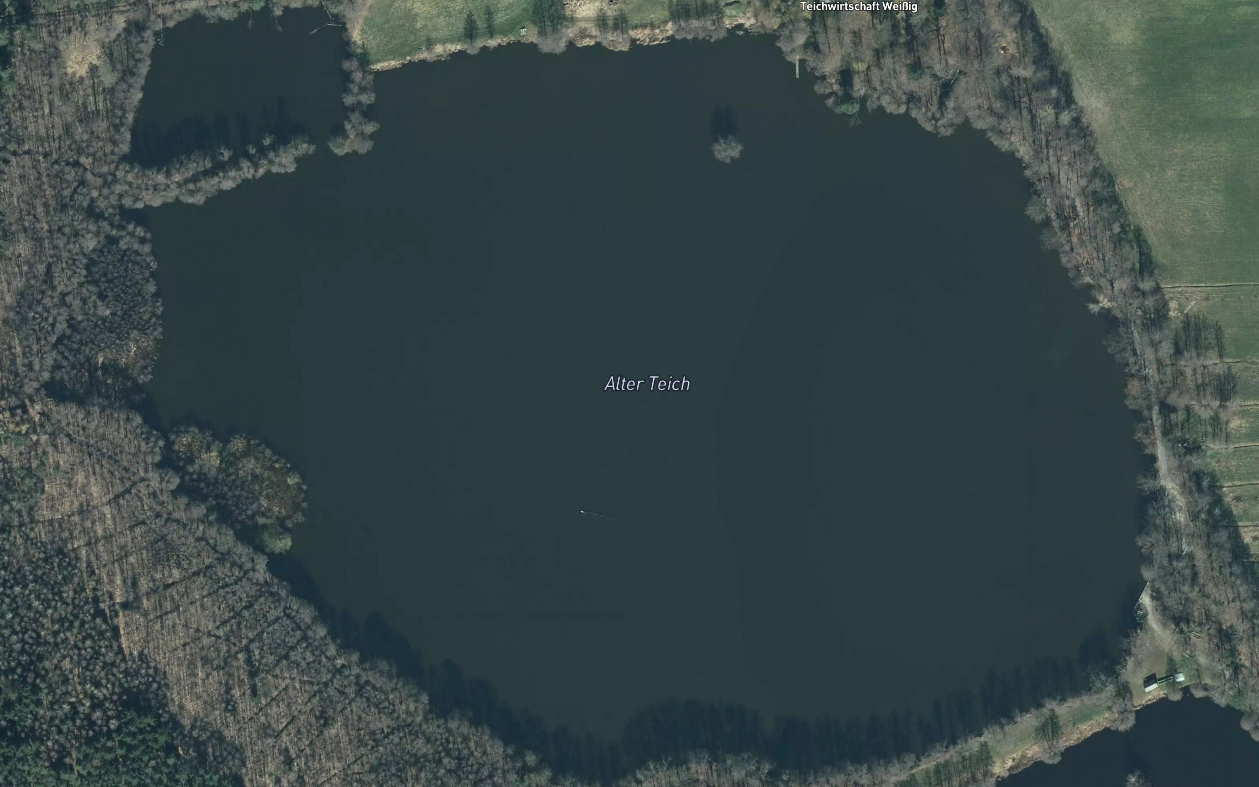 Alter Teich