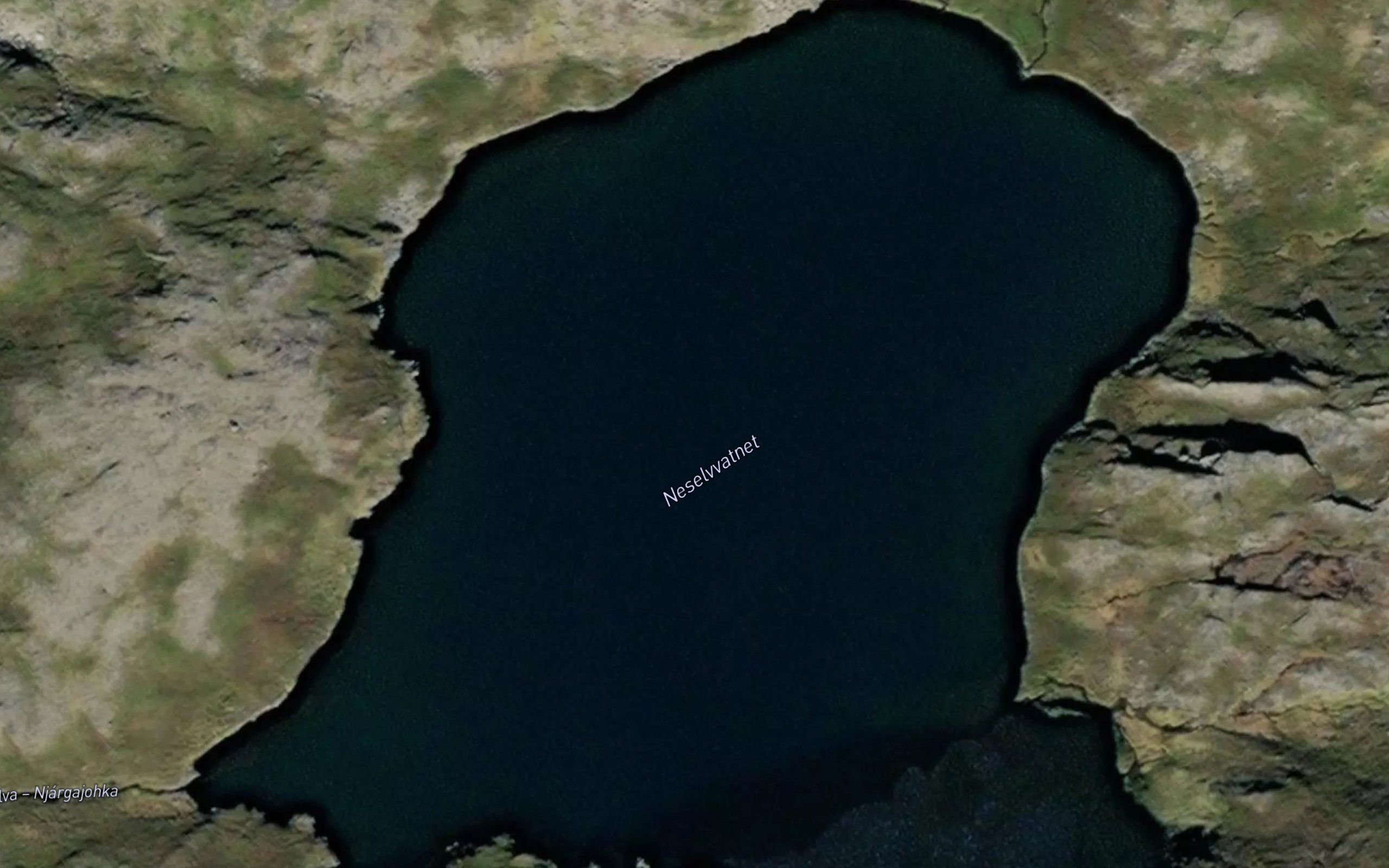 Neselvvatnet