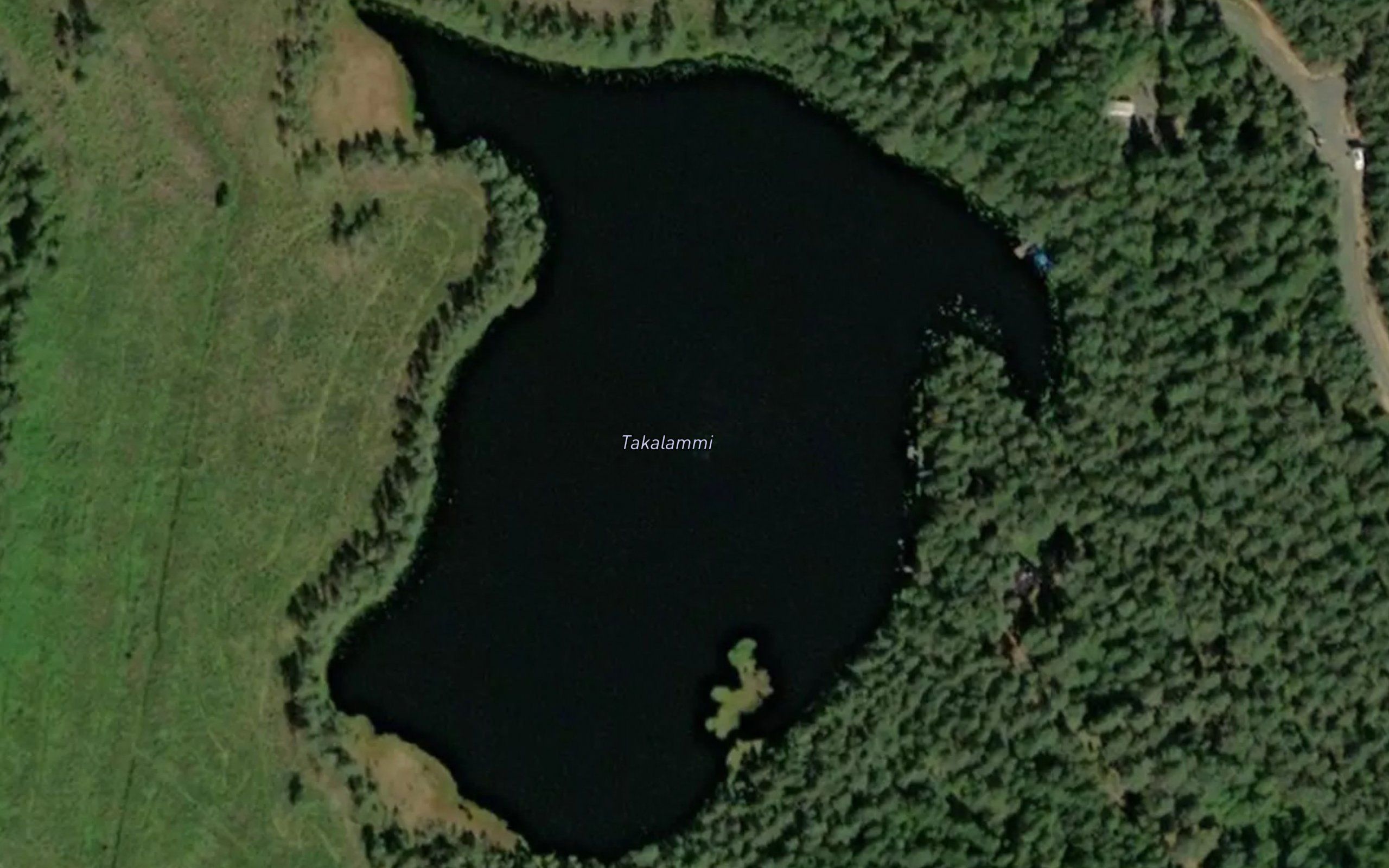 Takalammi