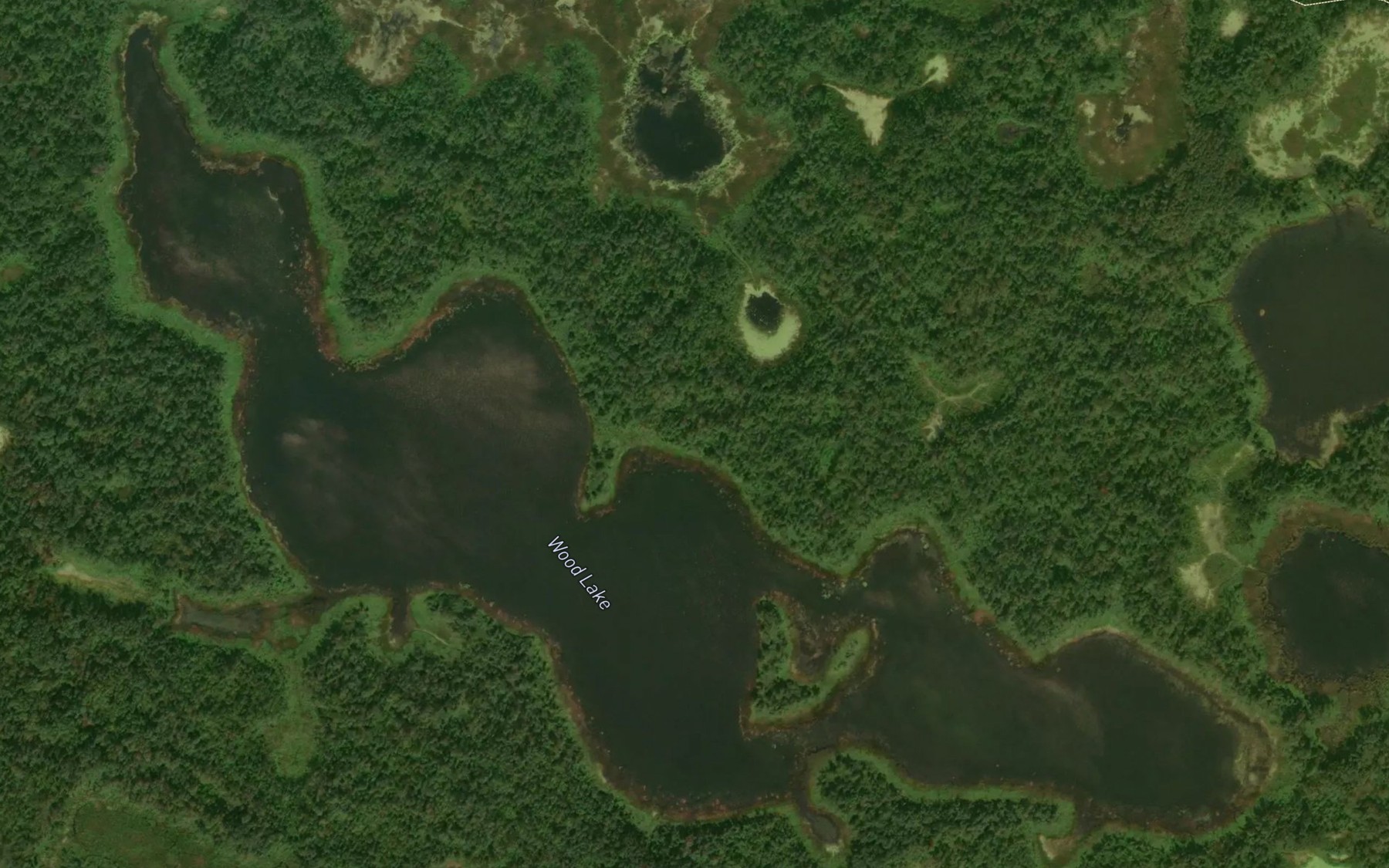 Satellite map of the Wood Lake