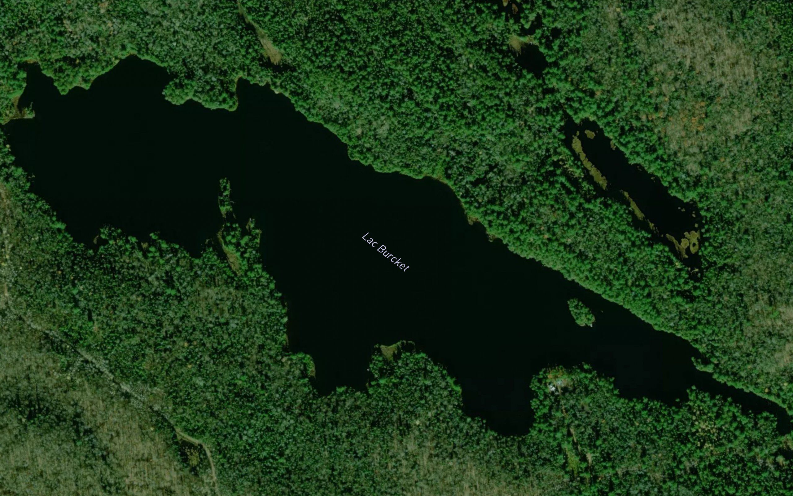 Lac Burcket