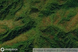 Double Trestle Branch