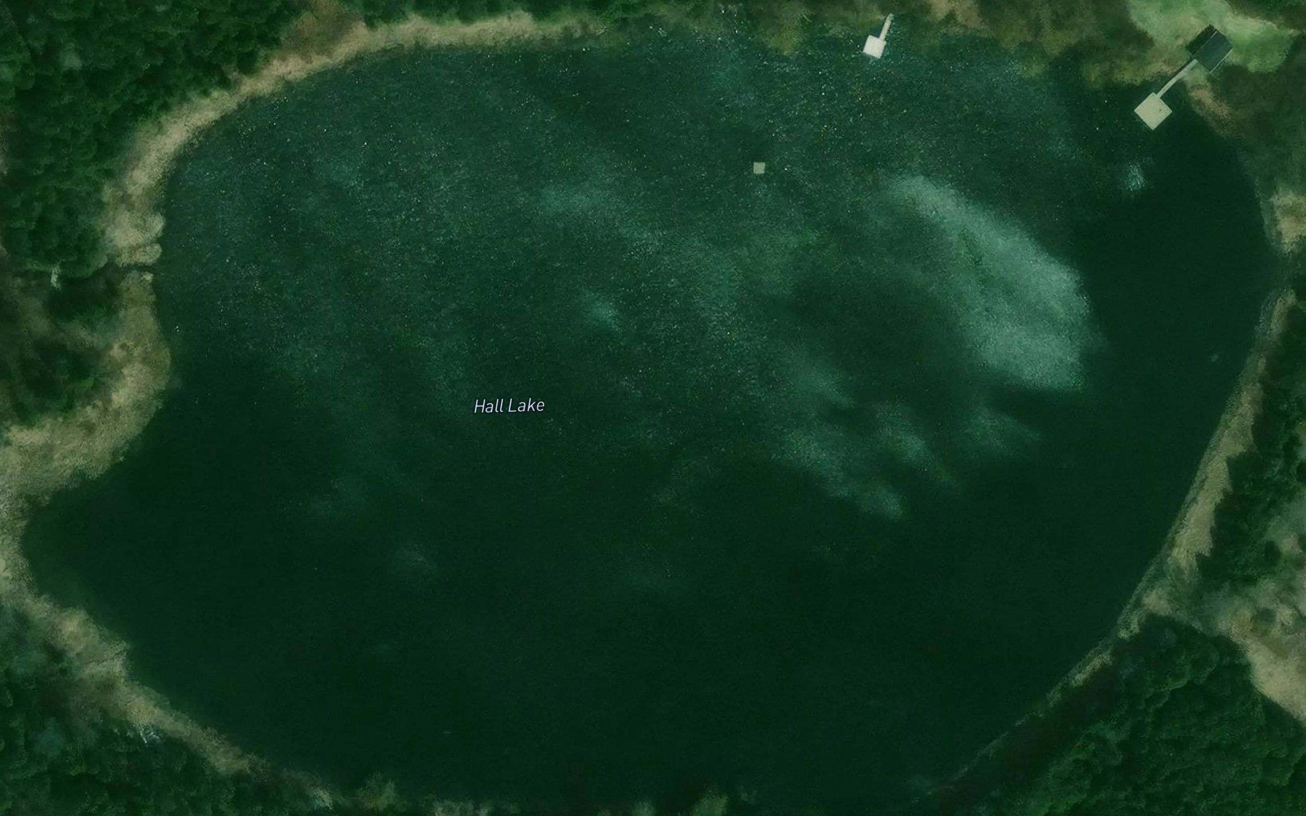 Hall Lake