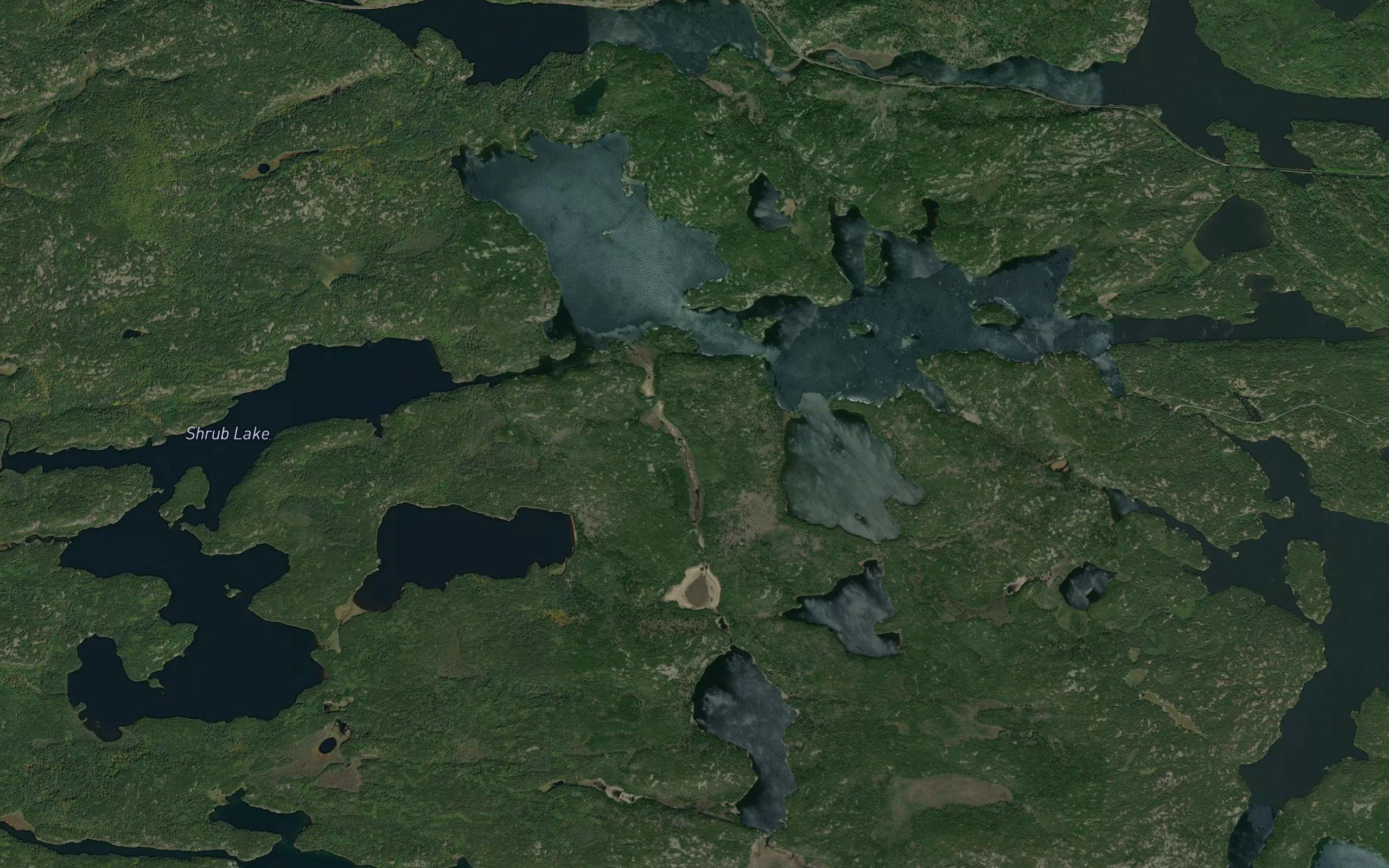 Shrub Lake