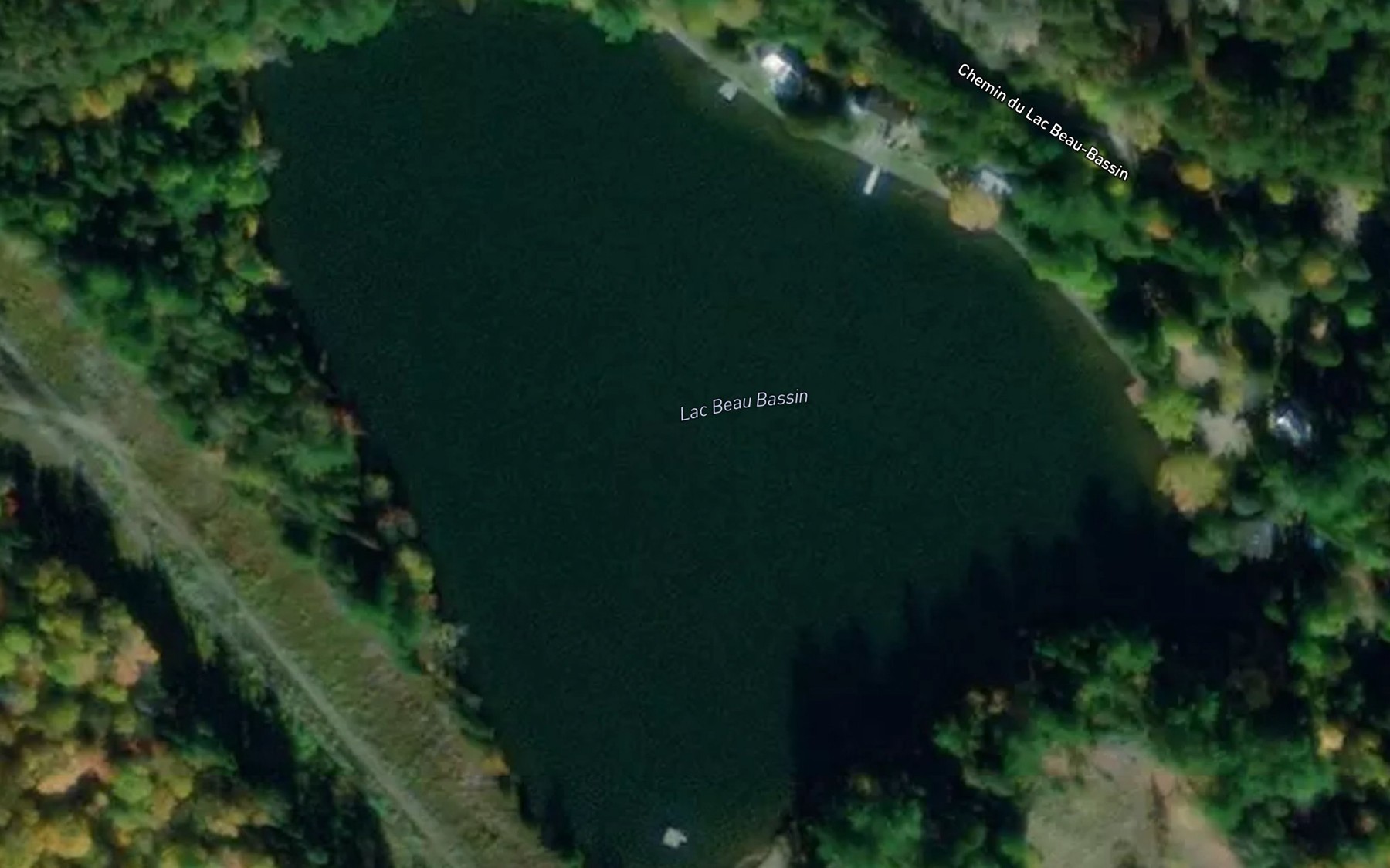 Satellite map of the Lac Beau Bassin