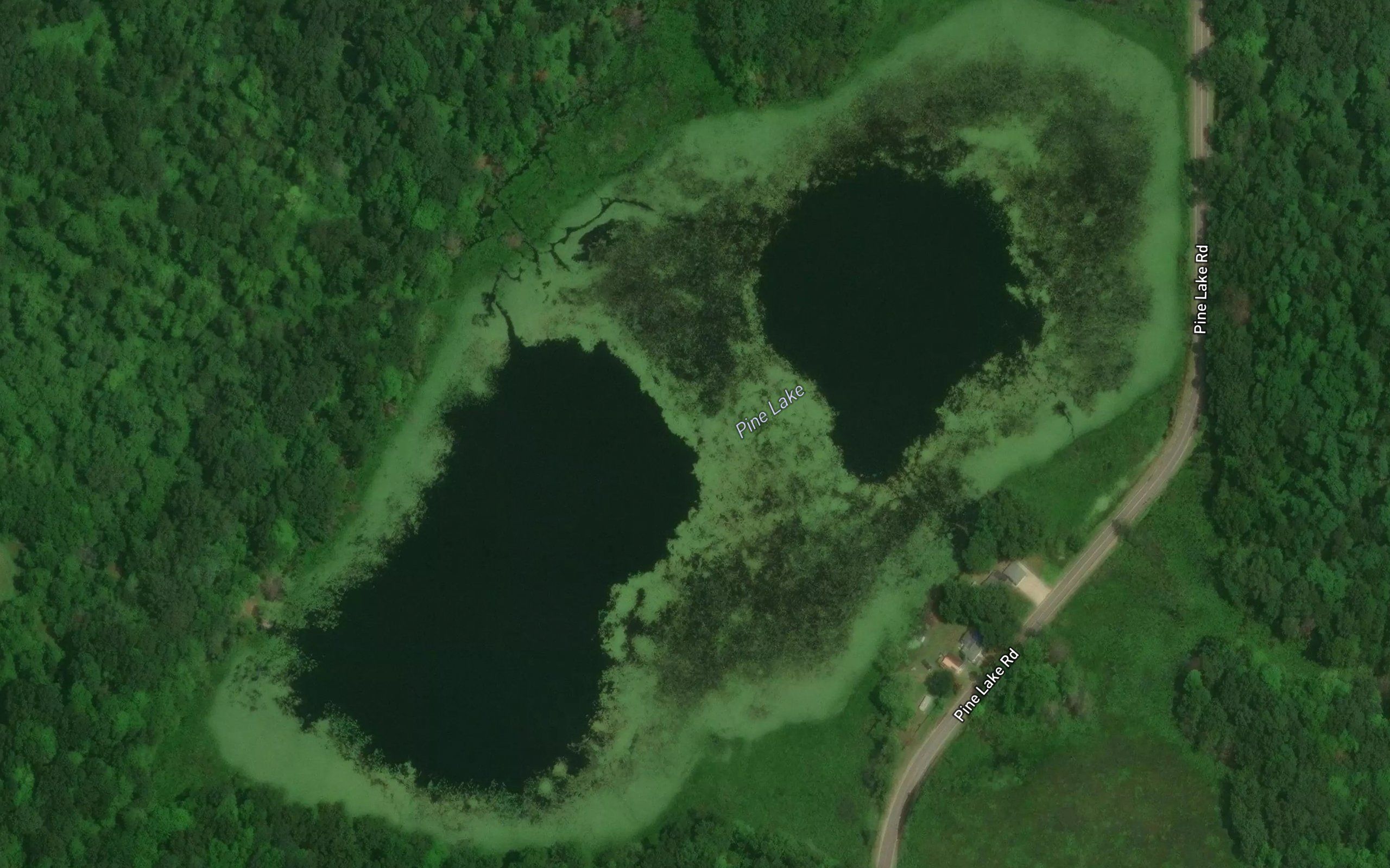 Pine Lake