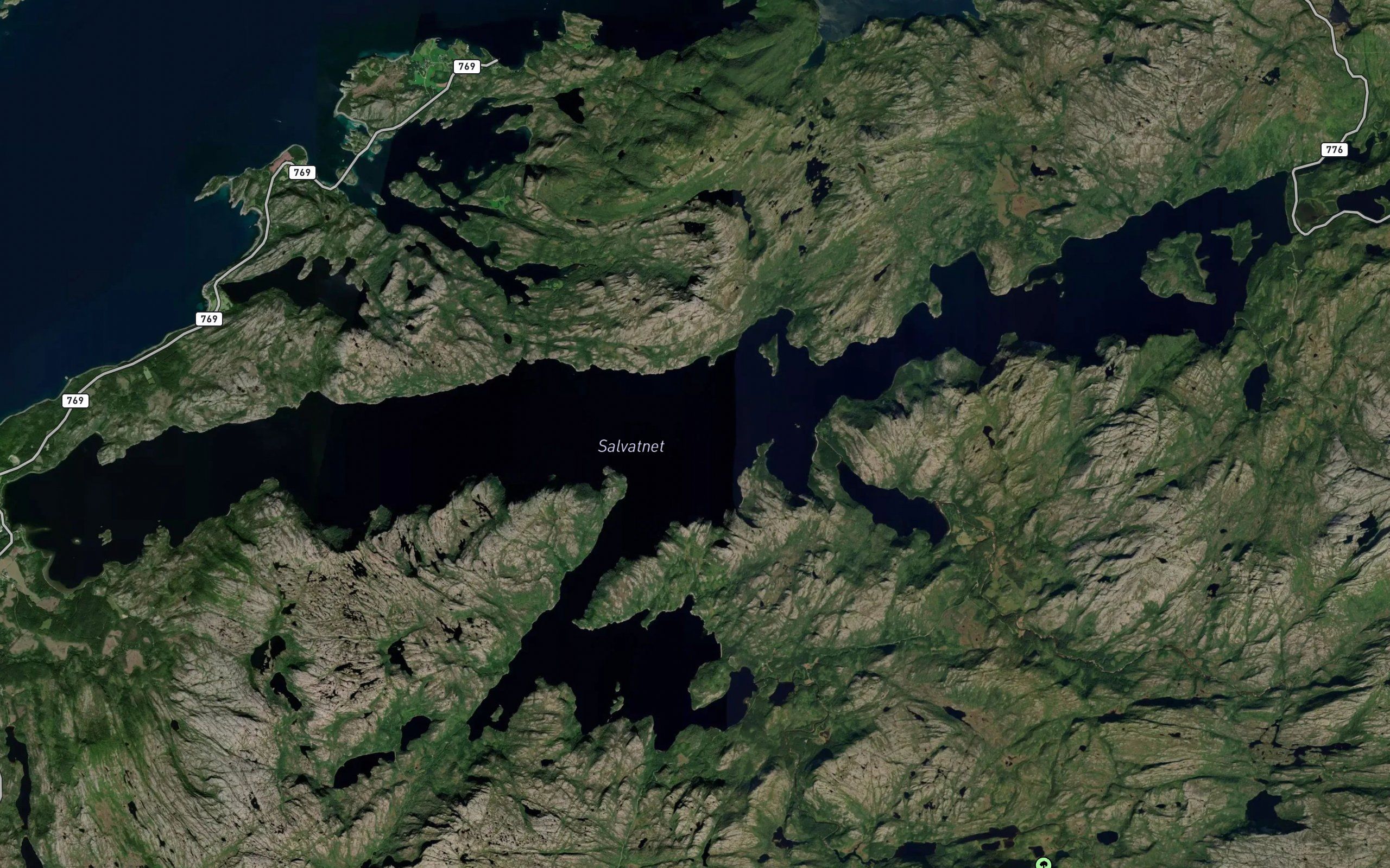 Salvatnet