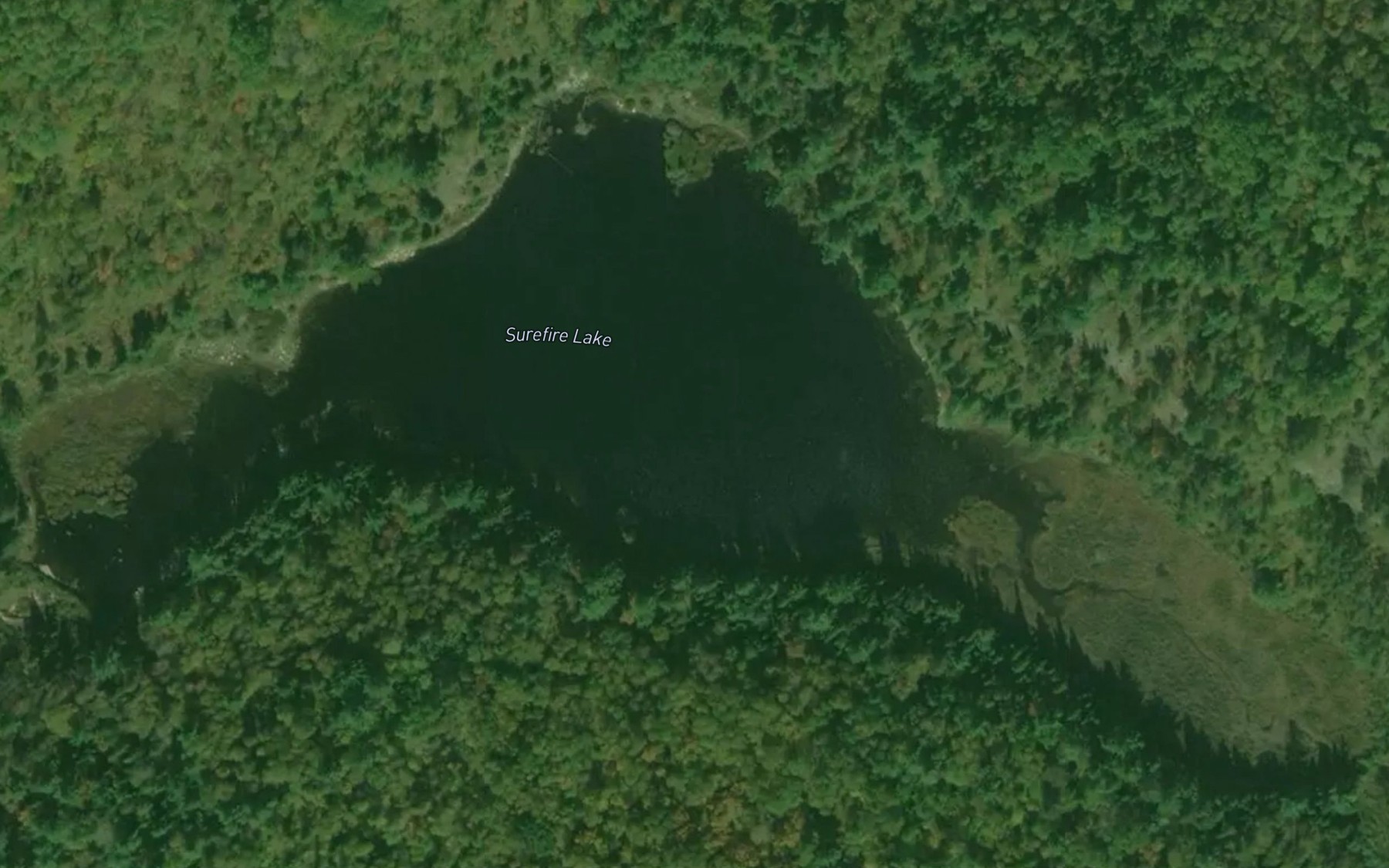 Satellite map of the Surefire Lake